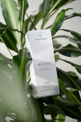 A box of skincare product labeled 'PLANTADEA' is positioned among lush, green tropical leaves. The product is described as a 'BIO BODY CREAM' intended for dry and delicate skin, containing 1% CBD. It is clinically and dermatologically tested, with text in both Italian and English highlighting these features.