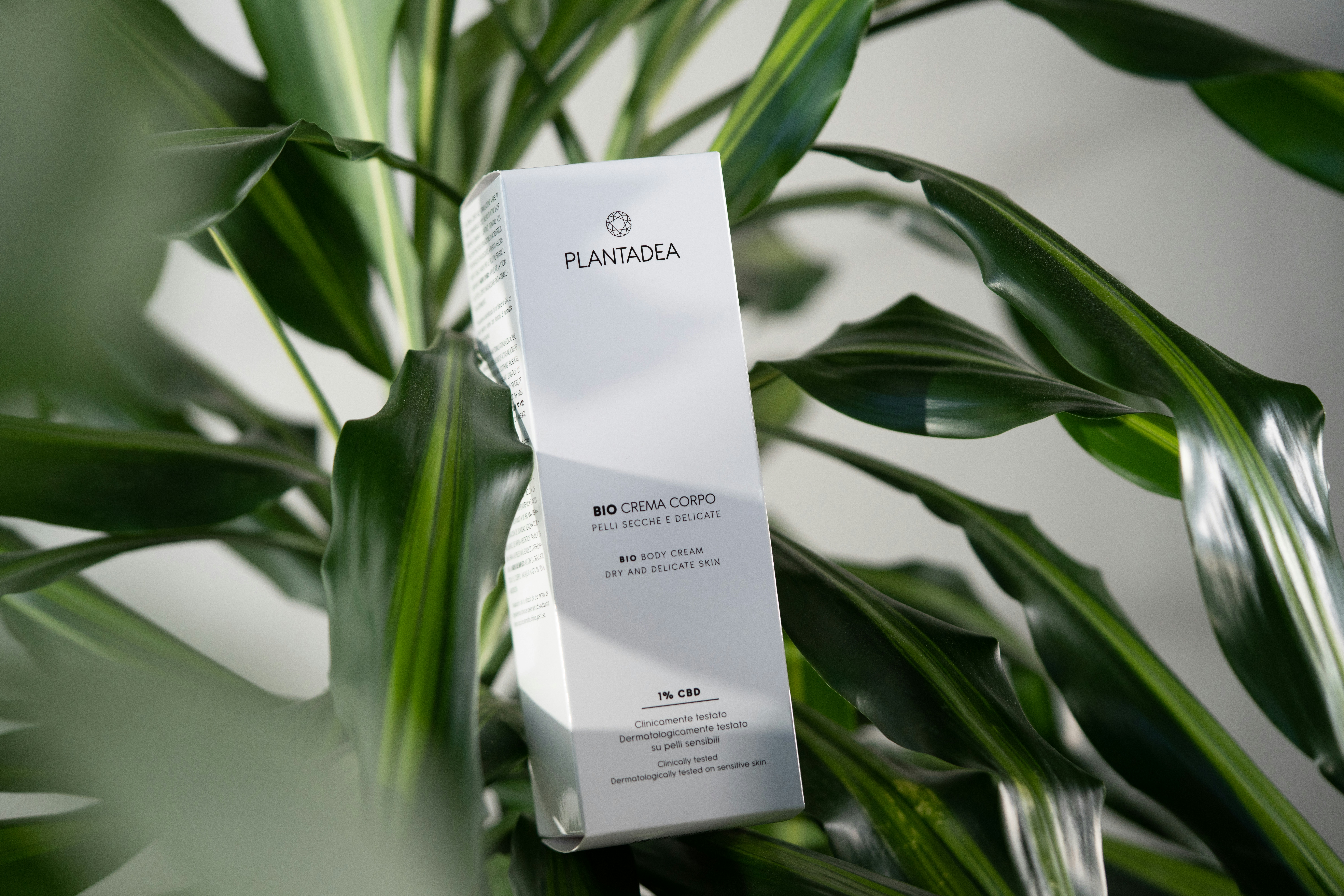 Flip the Bottle First: A One-Minute Guide to Reading Skincare Labels Like an Insider