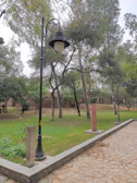 A park scene with a cobblestone pathway bordered by grass and trees. There are several tall black lampposts and informational signs positioned along the path. Green trees fill the background, creating a tranquil and natural environment.