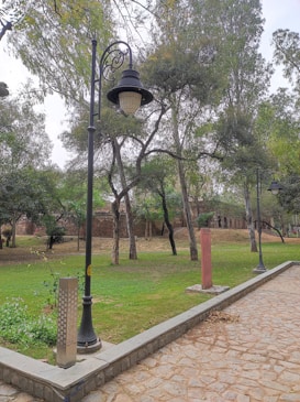 A park scene with a cobblestone pathway bordered by grass and trees. There are several tall black lampposts and informational signs positioned along the path. Green trees fill the background, creating a tranquil and natural environment.