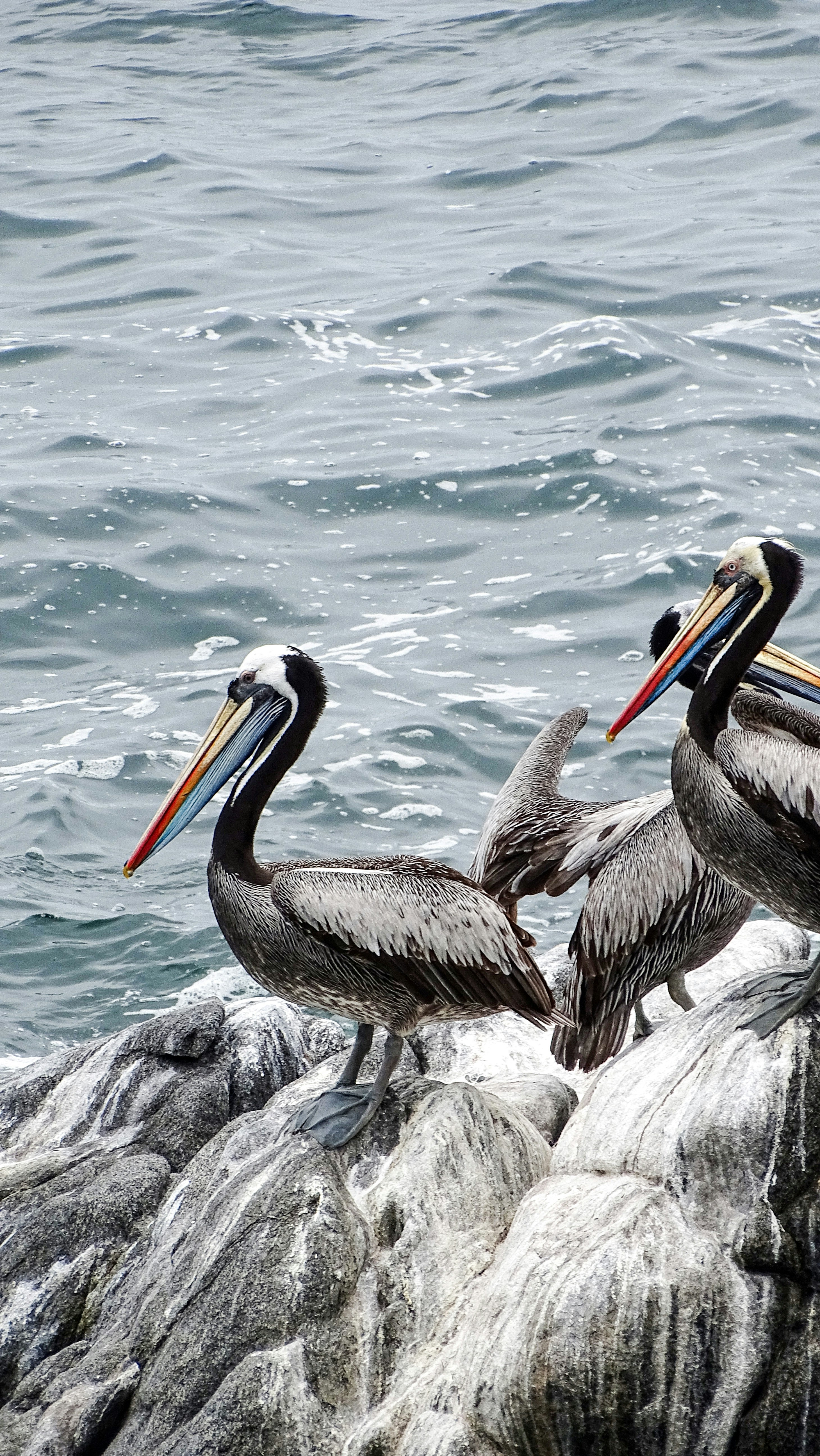 Photo by anjaleemingbecker