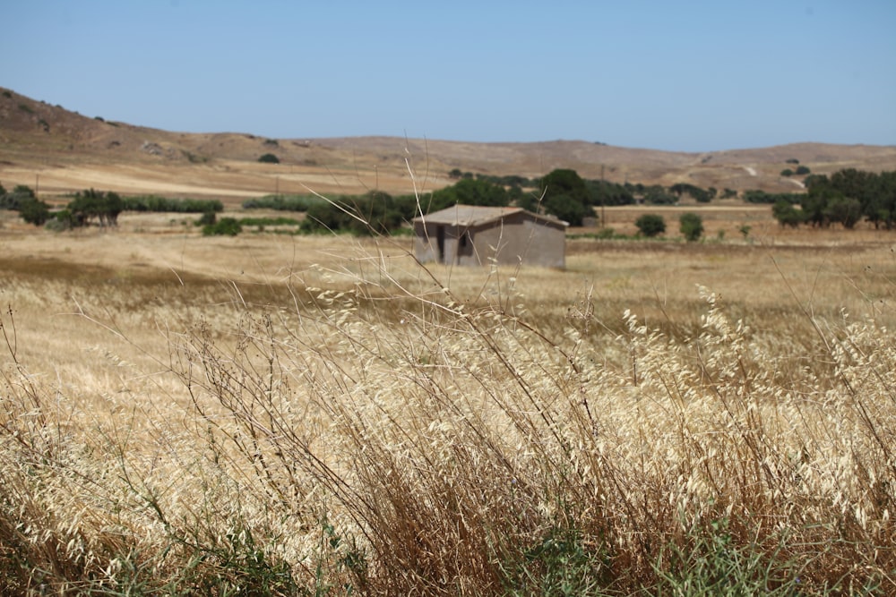 a field with a house in the distance