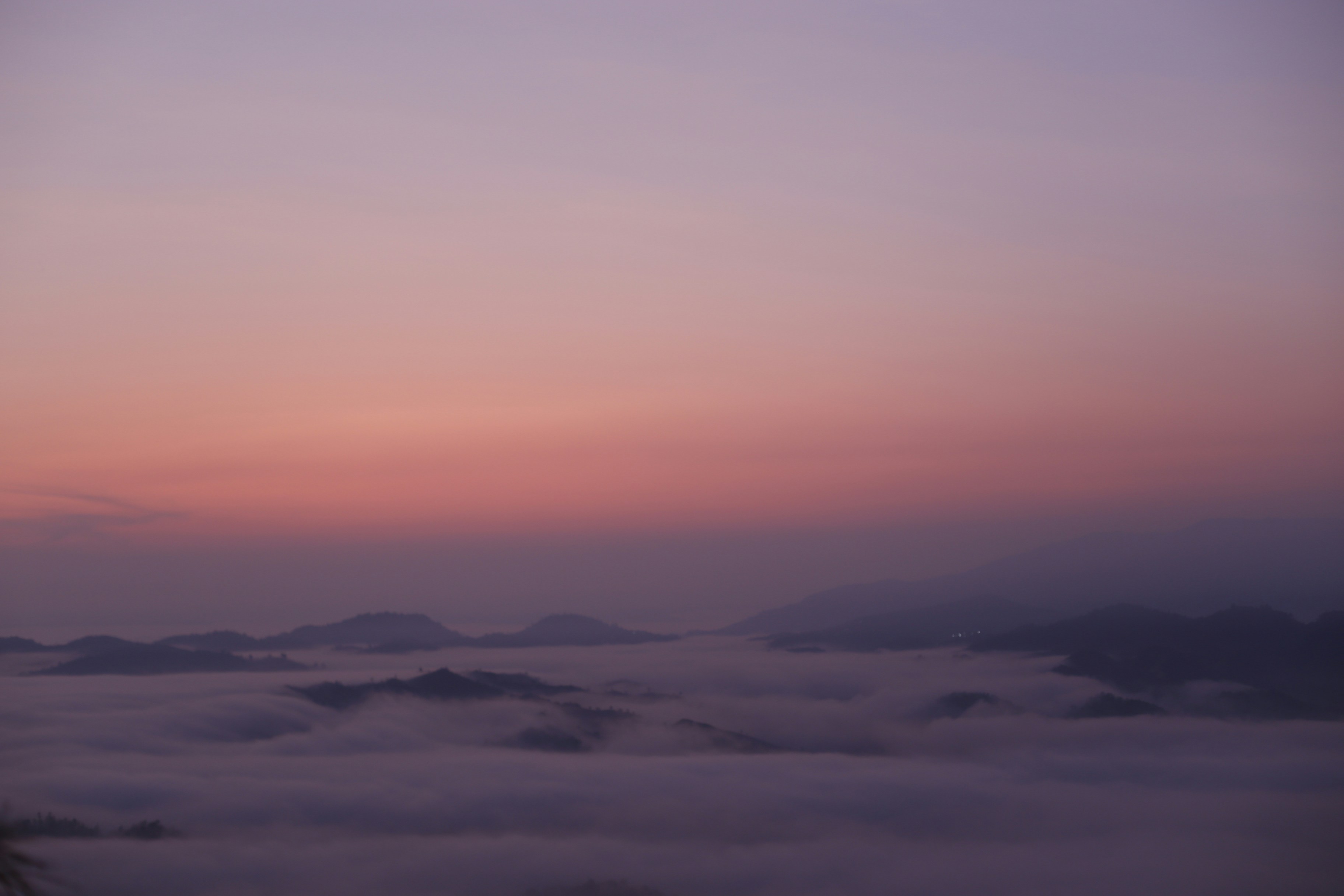 Photo by quangdieu195