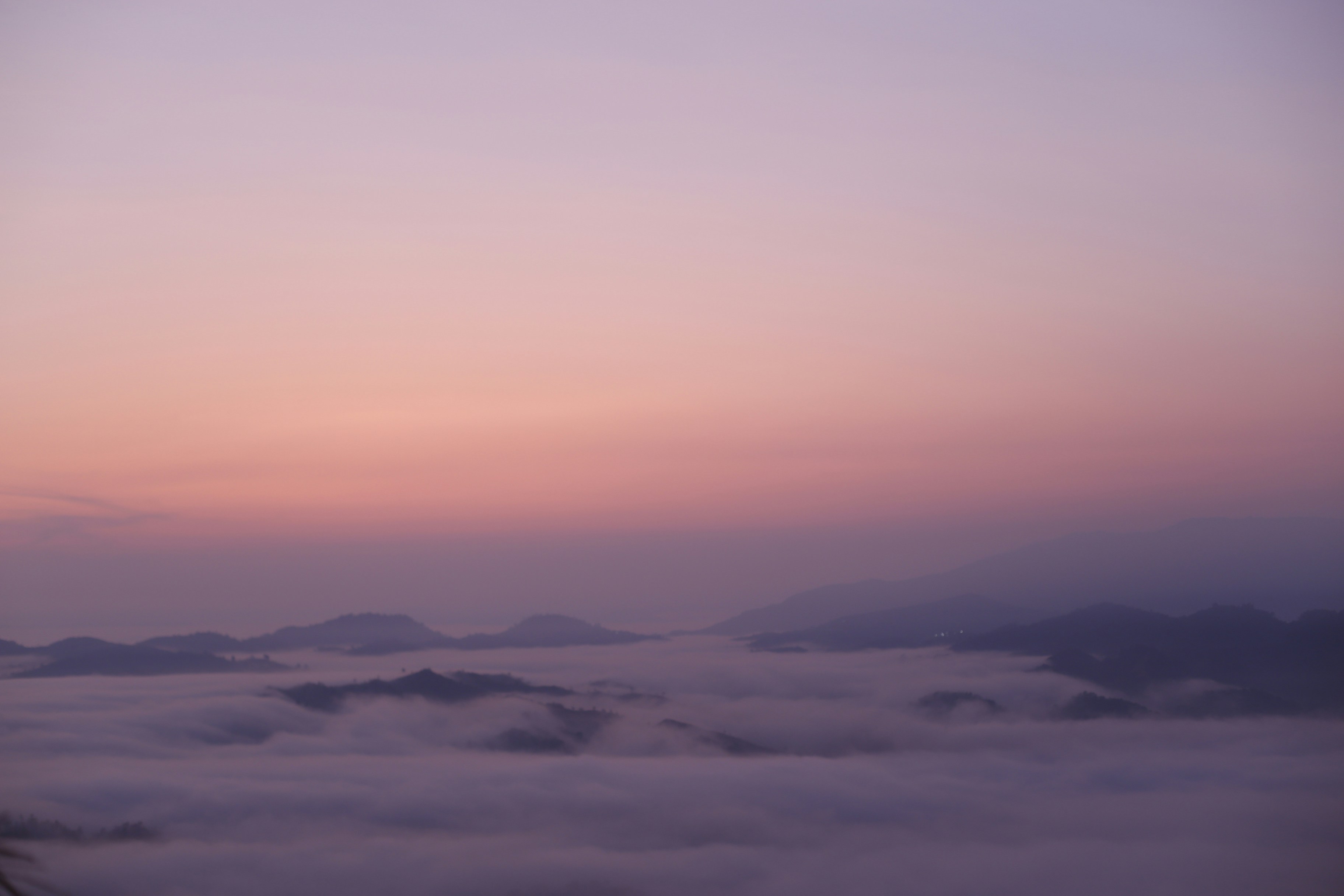 Photo by quangdieu195