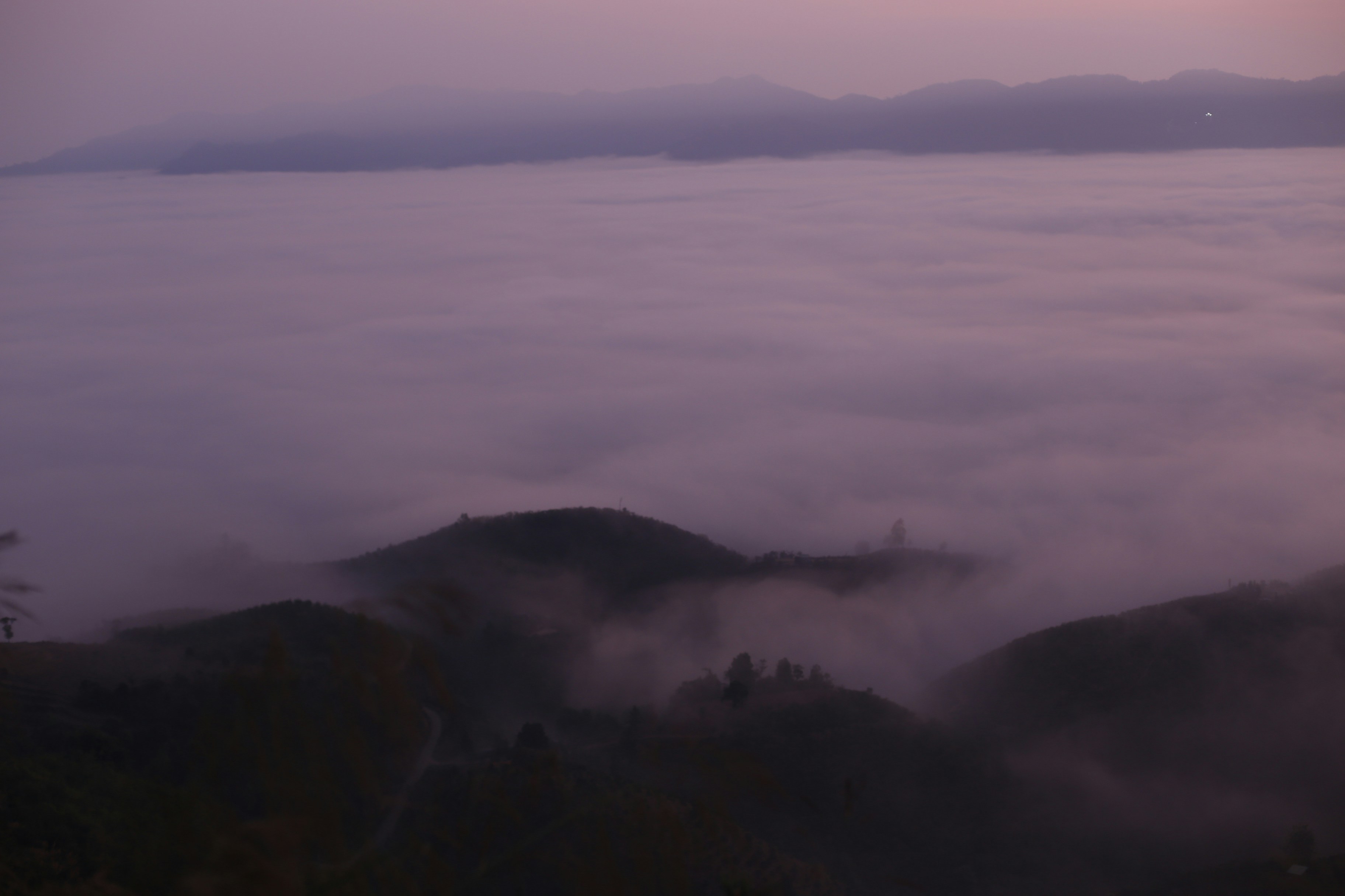 Photo by quangdieu195