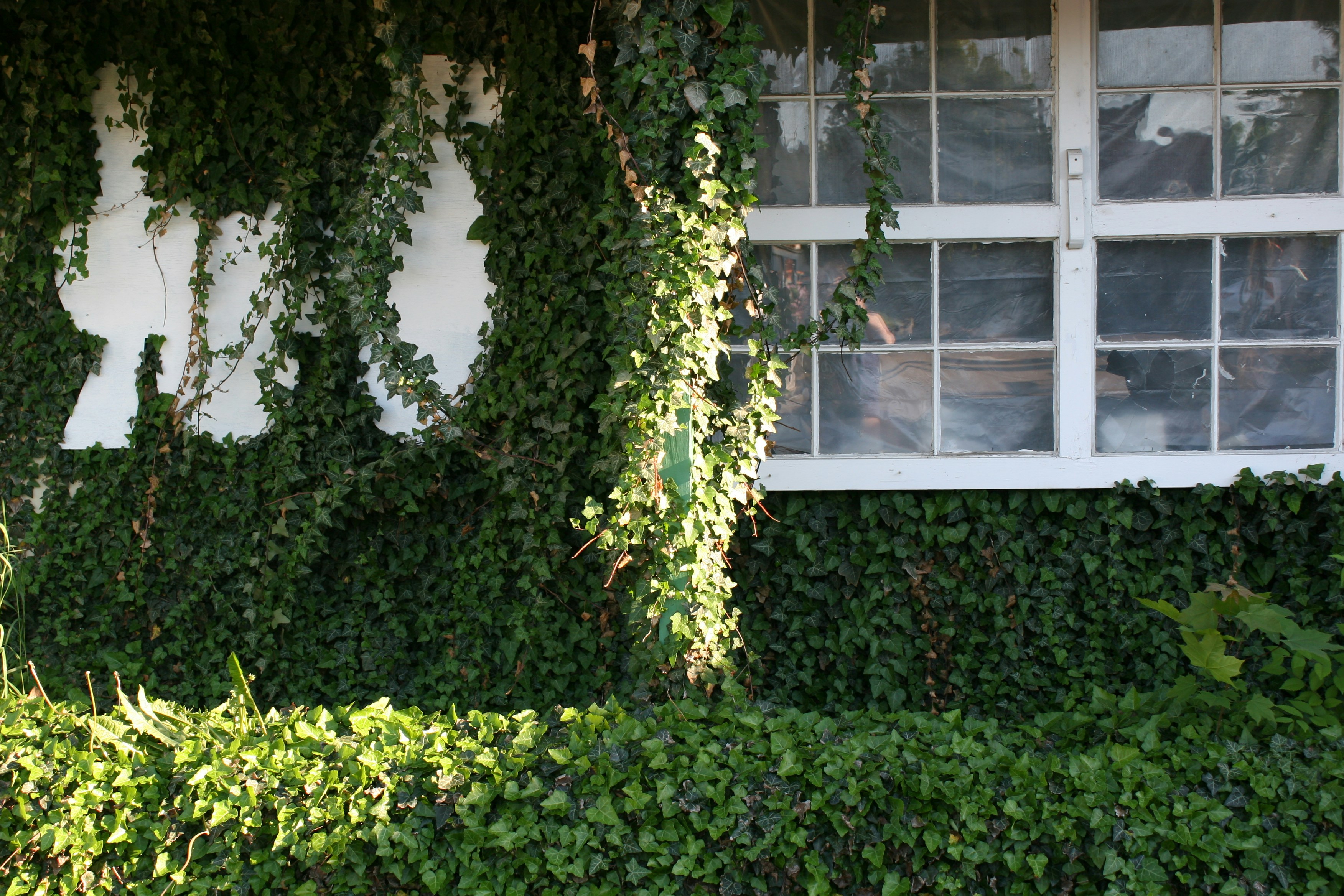 Photo by elizagrace2