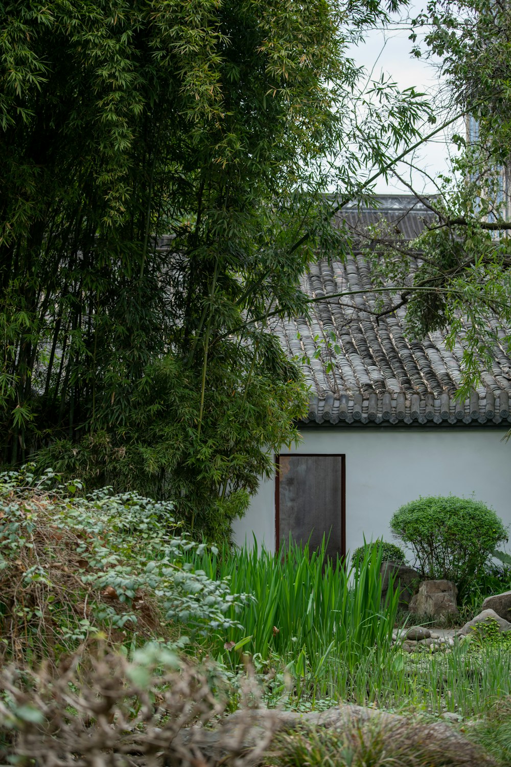 a white house with a black door surrounded by trees