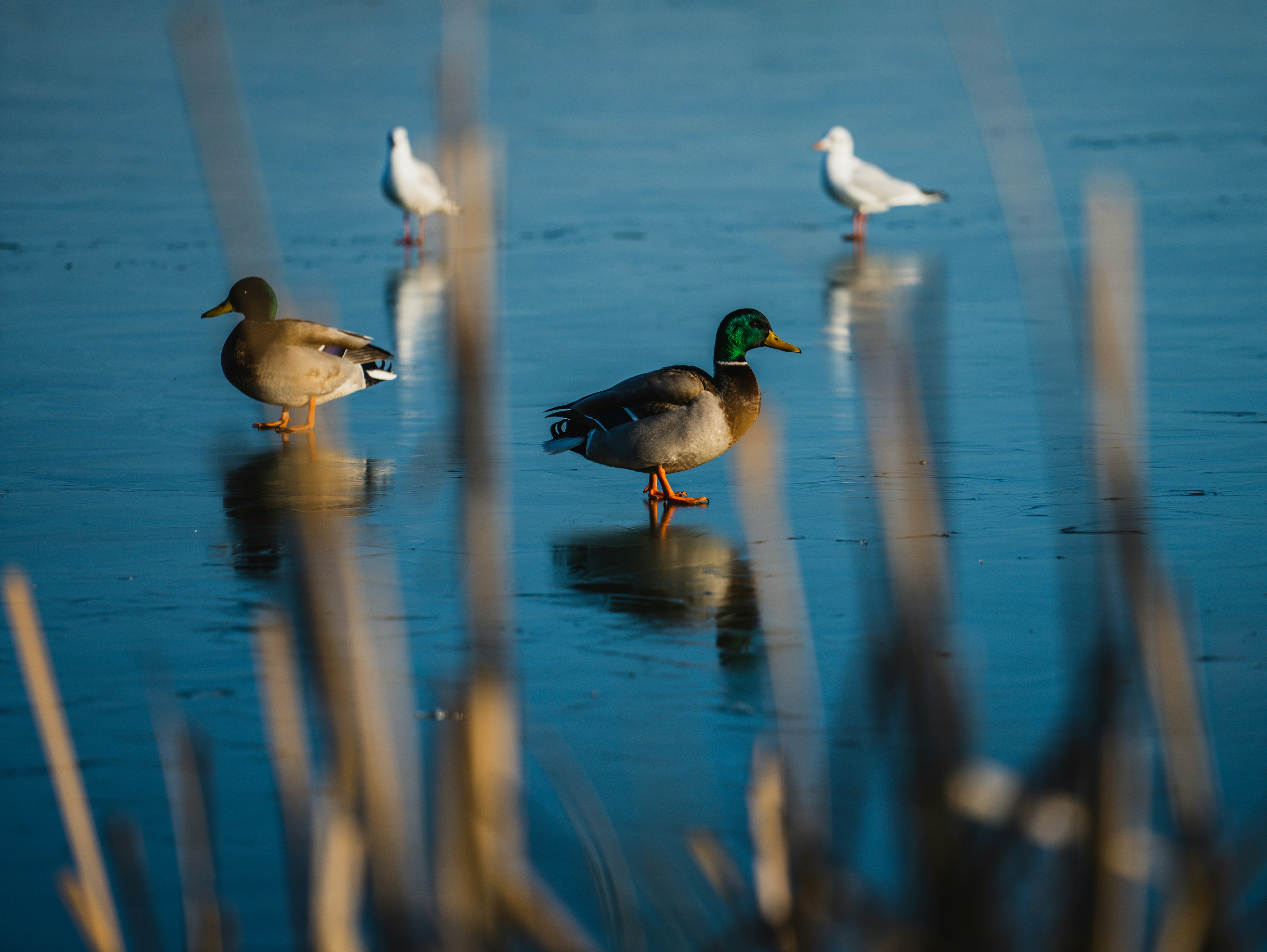 Photo by dixitdhinakaran