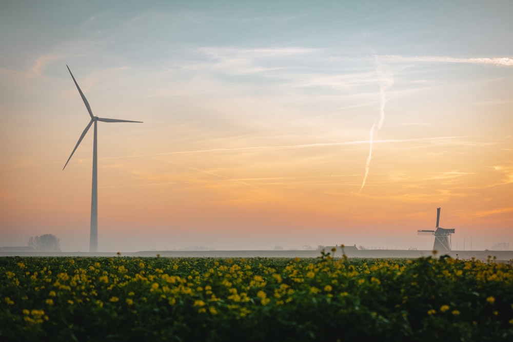 a wind farm with a windmill in the distance