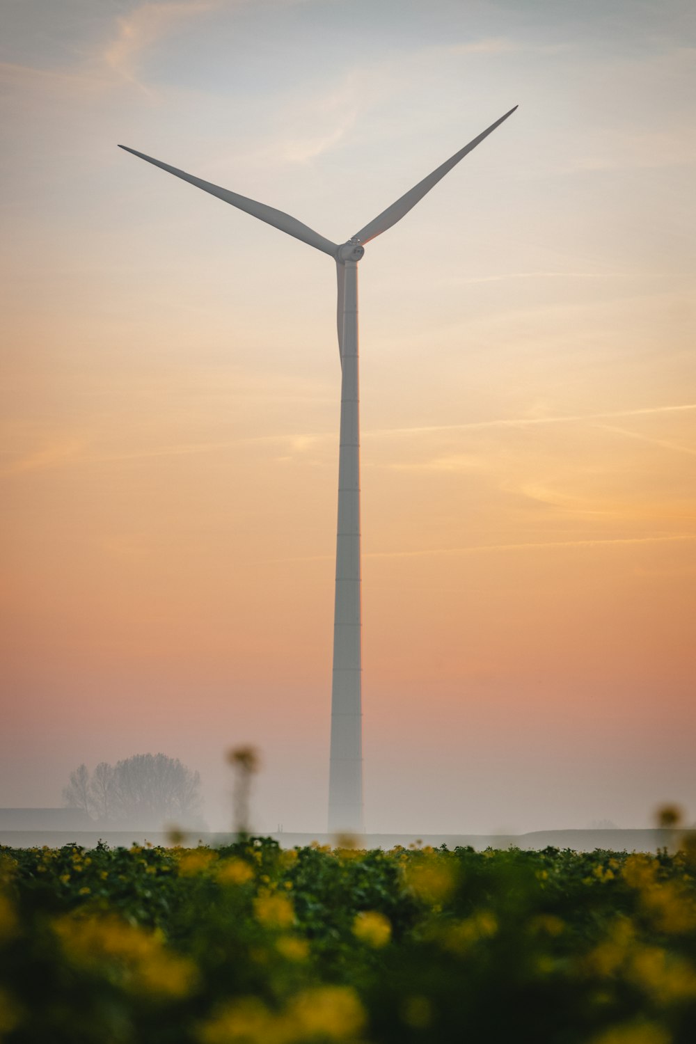 a wind turbine in the middle of a field