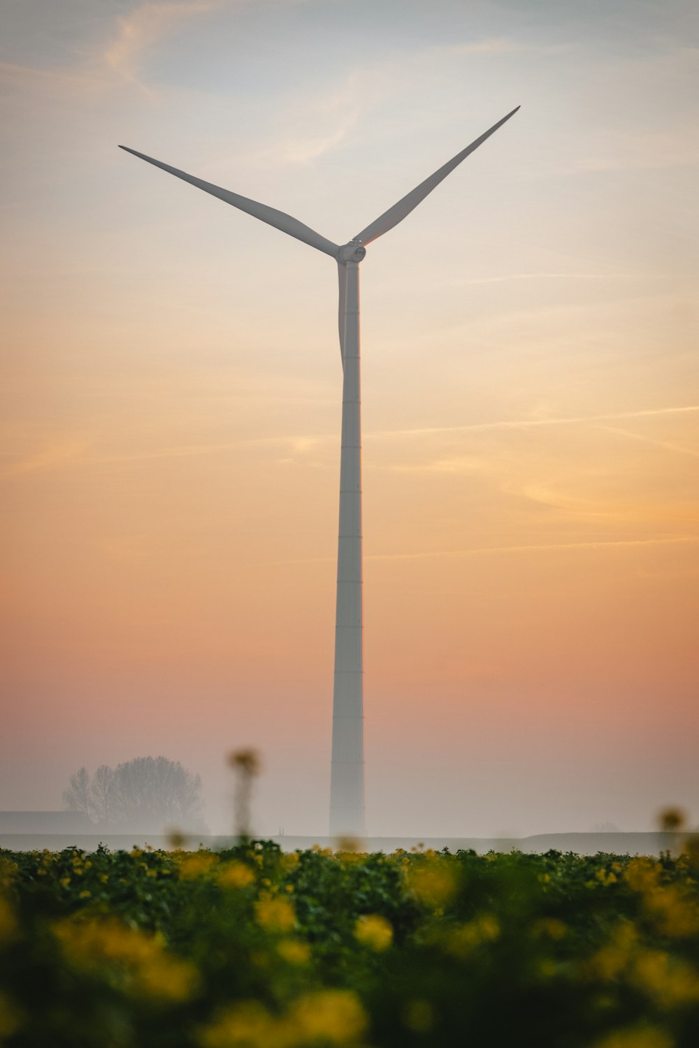 Eine Windkraftanlage mitten auf einem Feld