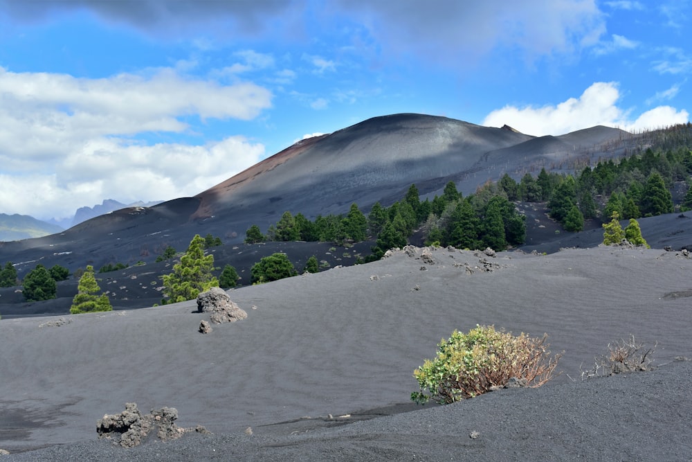 une vue d’une chaîne de montagnes avec des arbres au premier plan