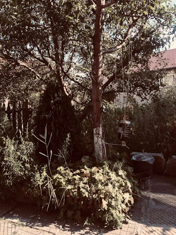 A peaceful, clean garden protected by discreet bird barriers under soft sunlight.