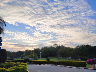 A beautifully landscaped garden in Riyadh with lush greenery and colorful flowers under a clear blue sky.