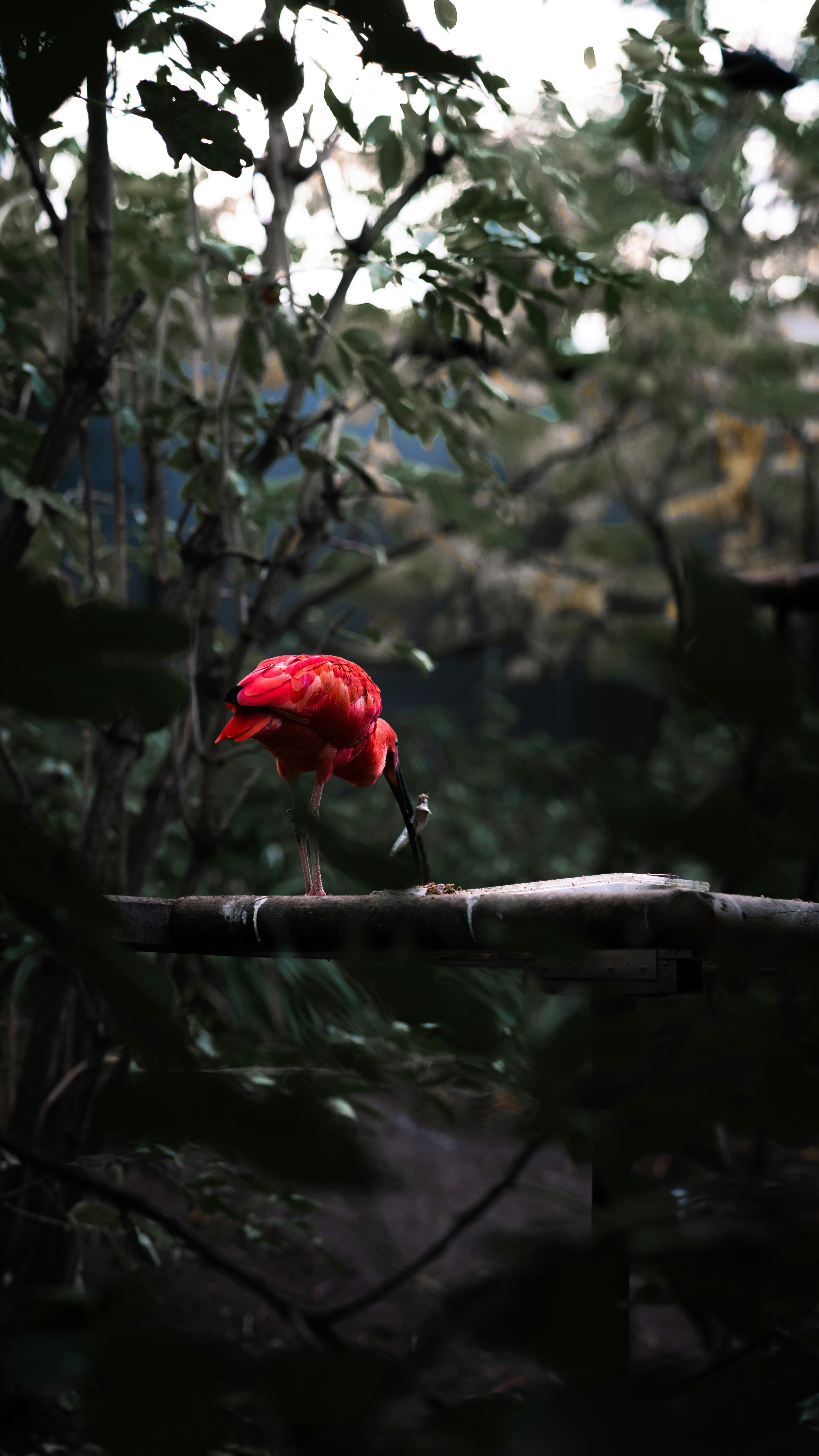 Photo by juleskassas