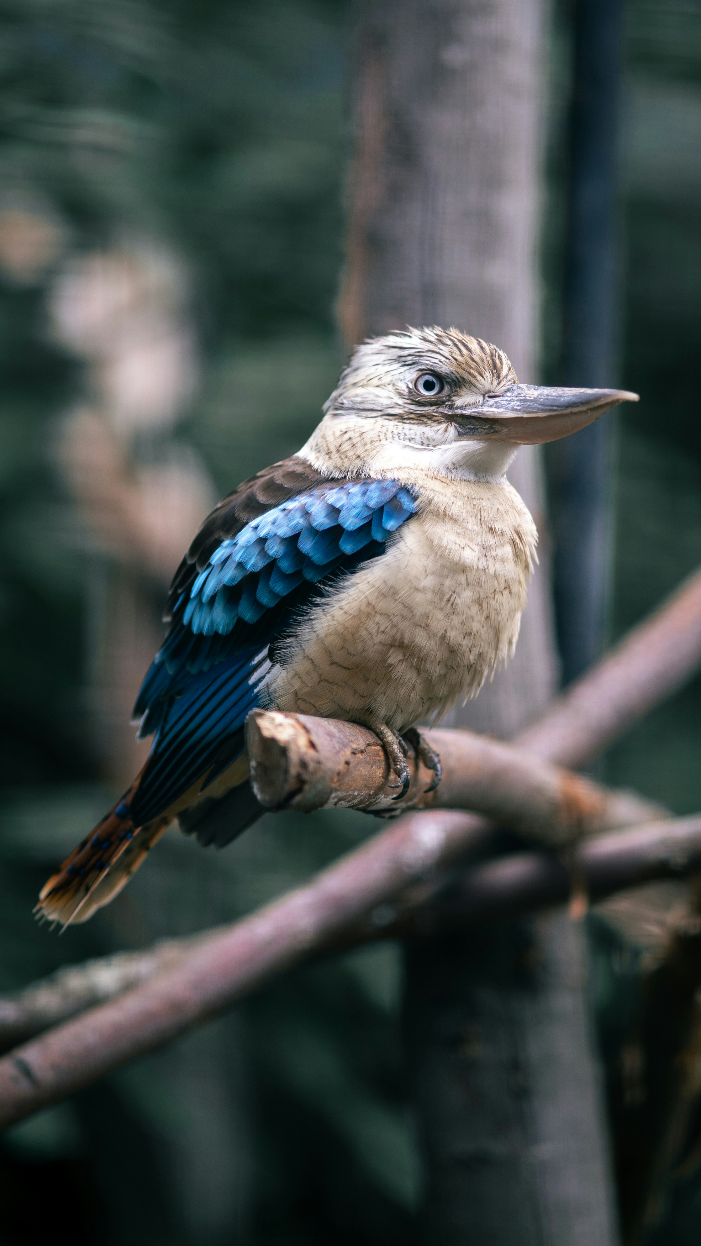 Photo by juleskassas