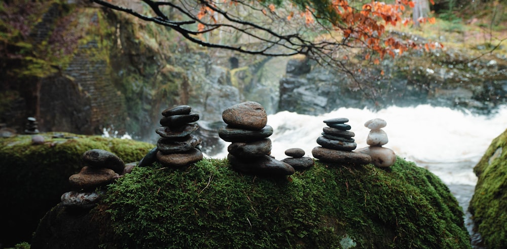a group of rocks sitting on top of a moss covered rock