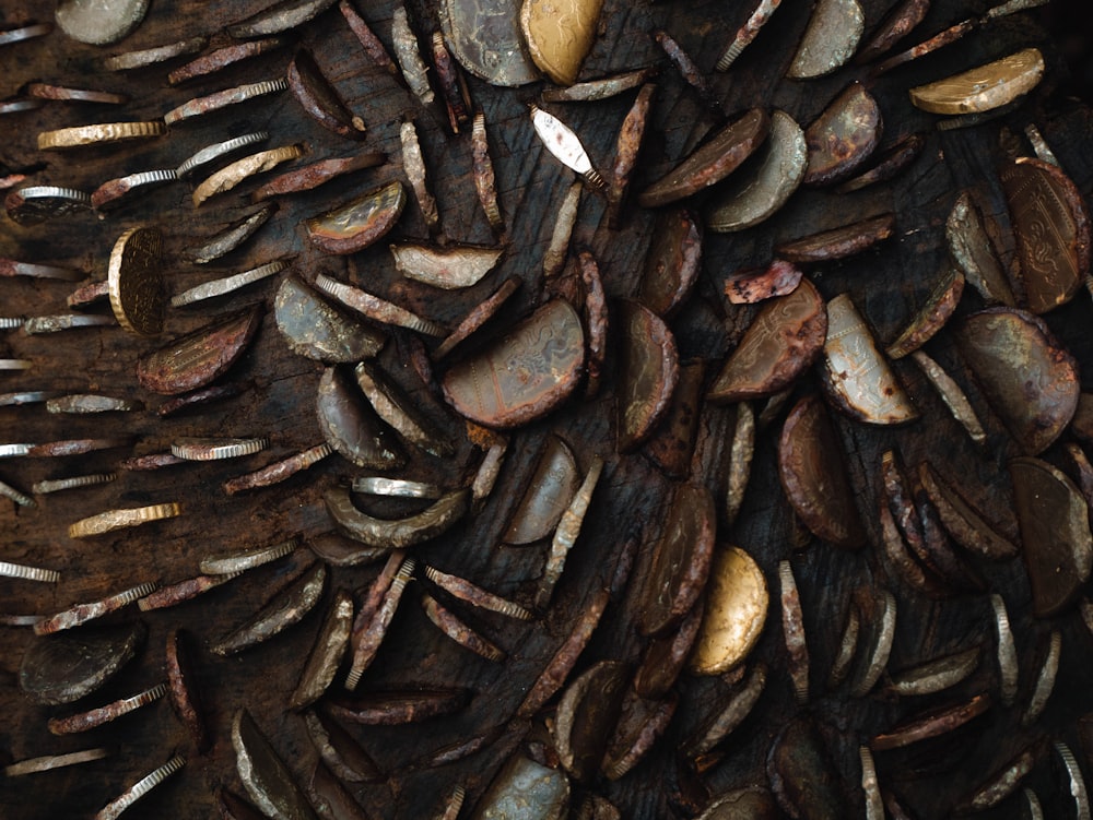 a close up of a bunch of nuts on a piece of wood