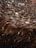 An abundance of coins embedded into a weathered, rough surface resembling a tree stump. The coins are densely packed and vary in color from dark browns to metallic hues, indicating age and oxidation.