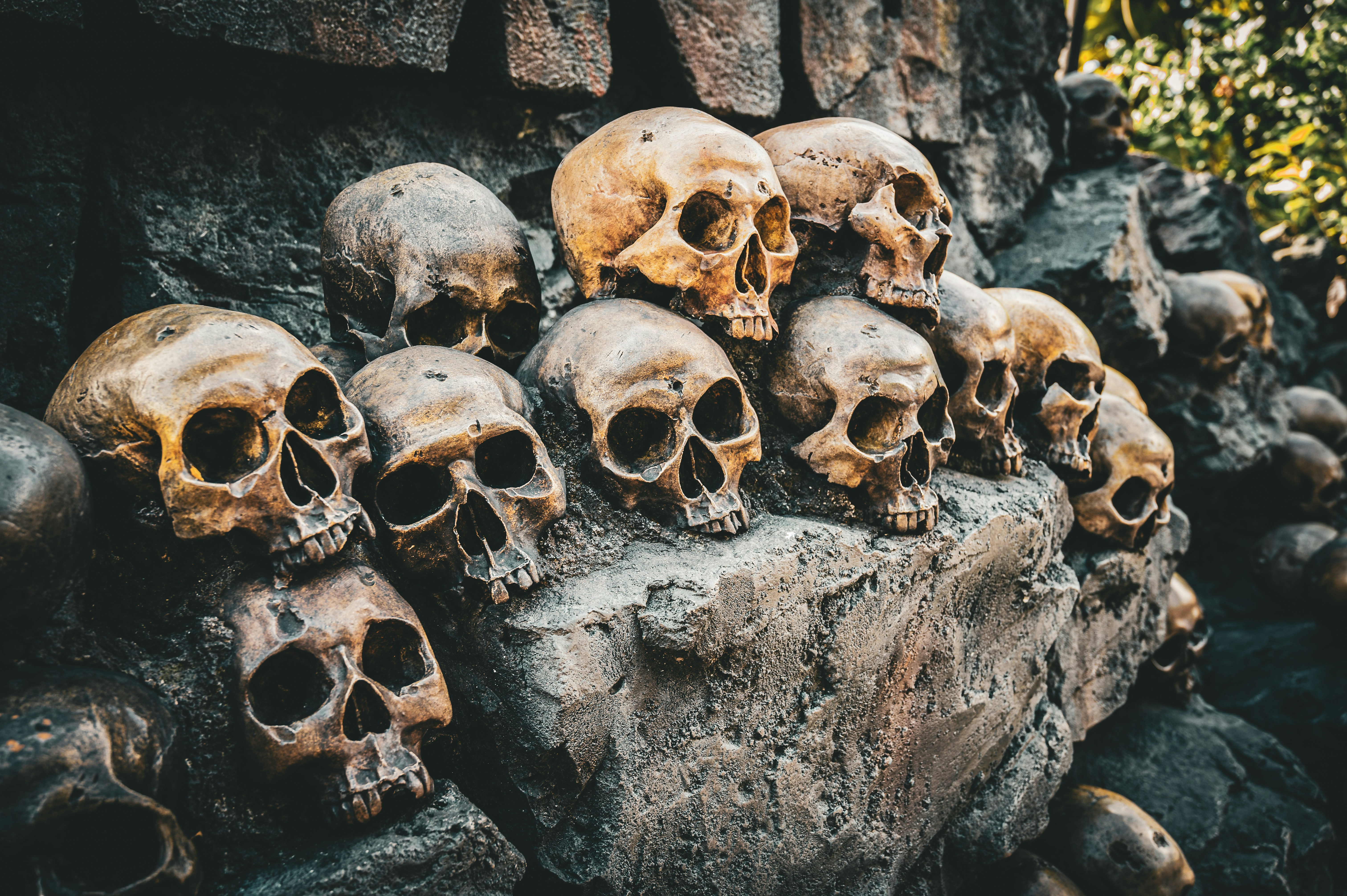 Māori Want to Talk About Genocide