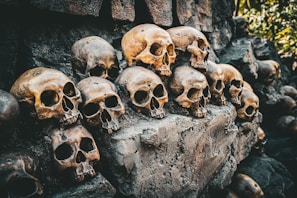 a bunch of skulls that are on a rock