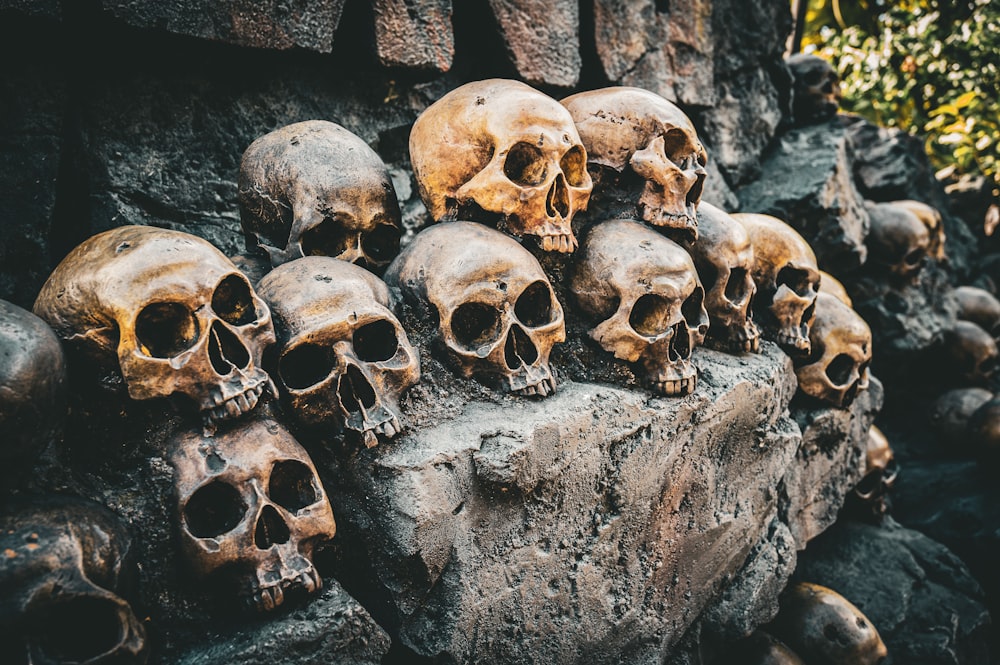 a bunch of skulls that are on a rock