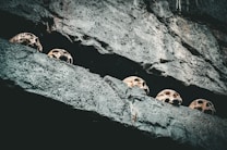 A rock formation with a row of human skulls nested within a crevice. The scene appears eerie and mysterious, with a somber and ancient atmosphere.