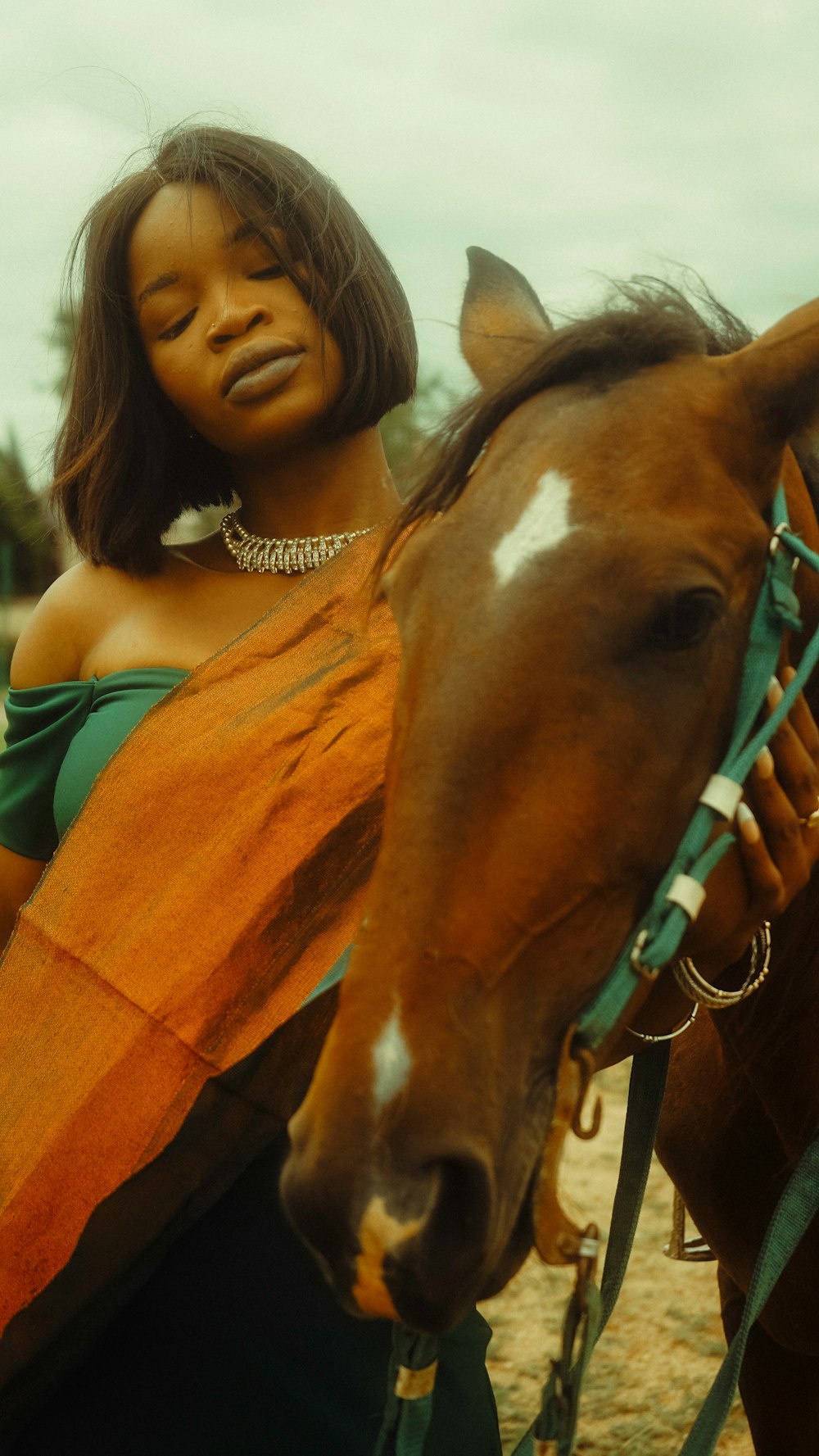 a woman standing next to a brown horse