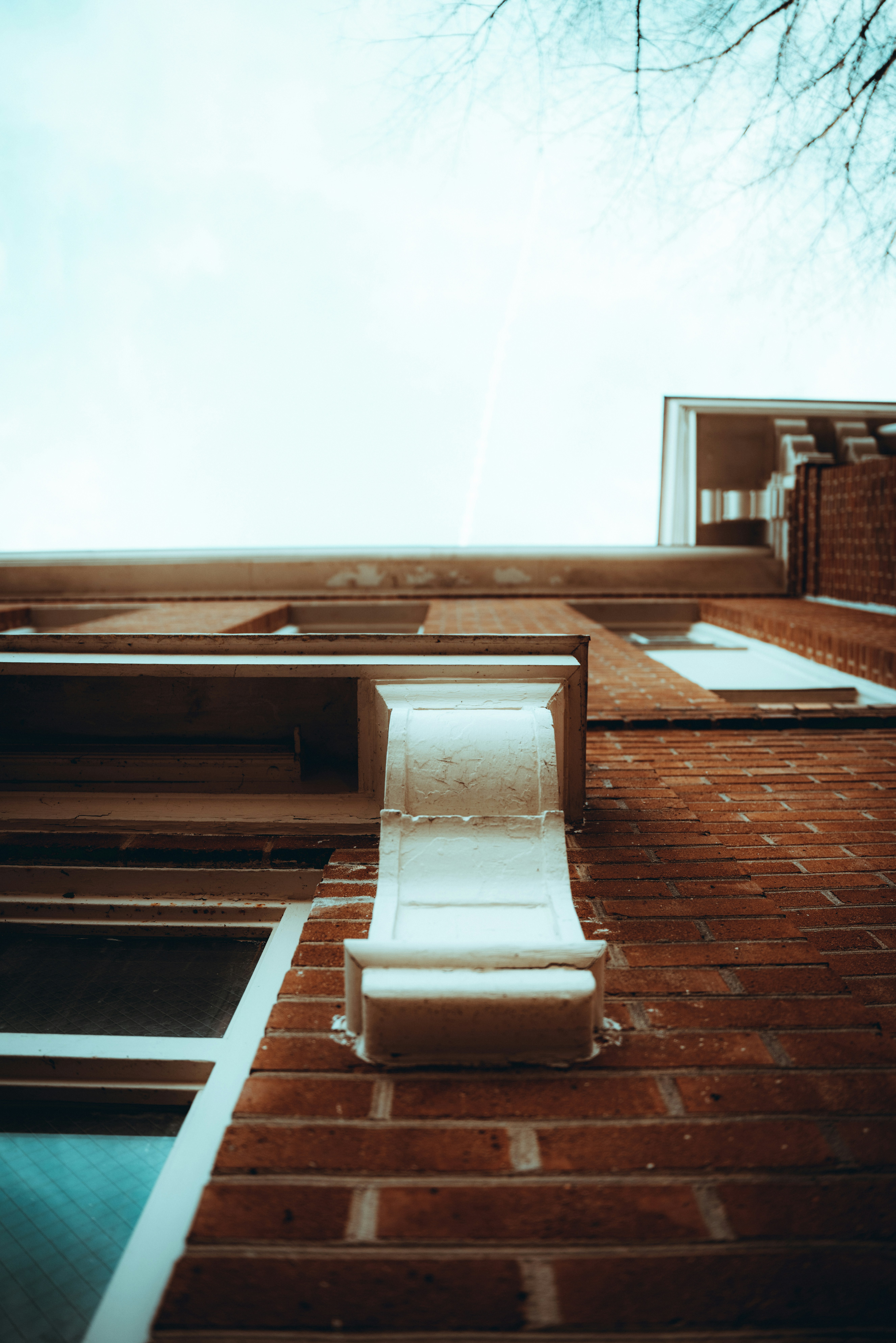 Photo by colemangloverphotography