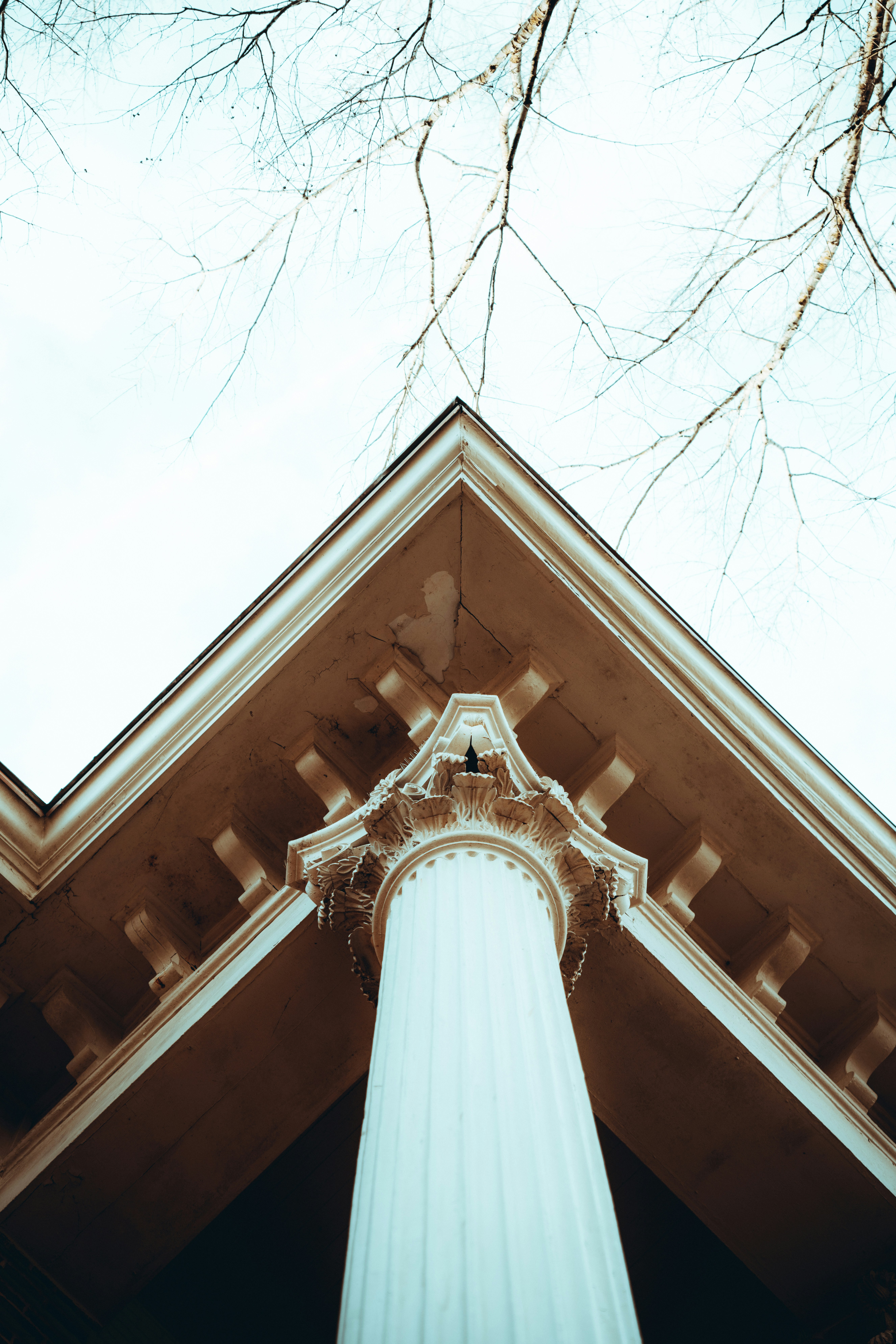 Photo by colemangloverphotography