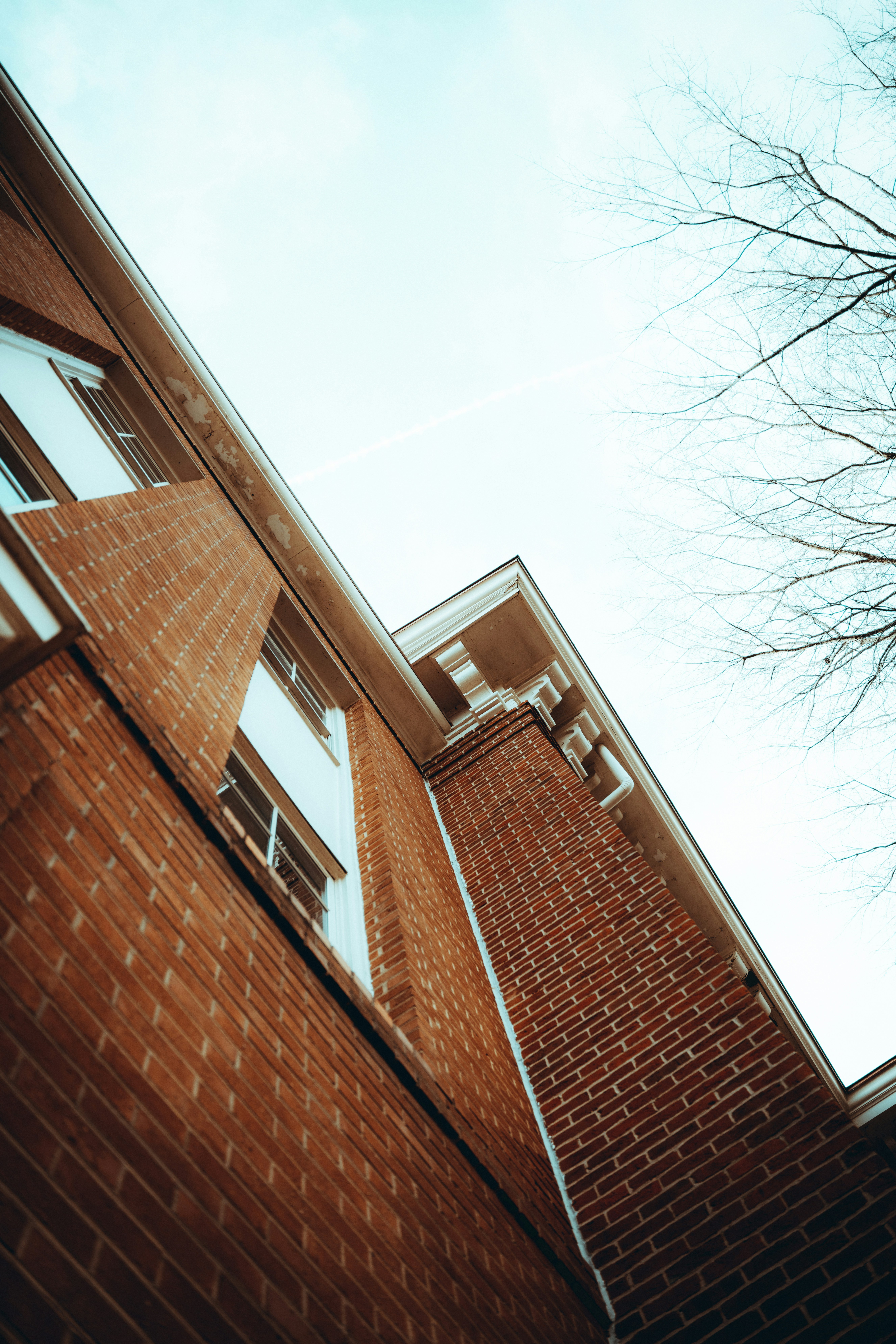 Photo by colemangloverphotography