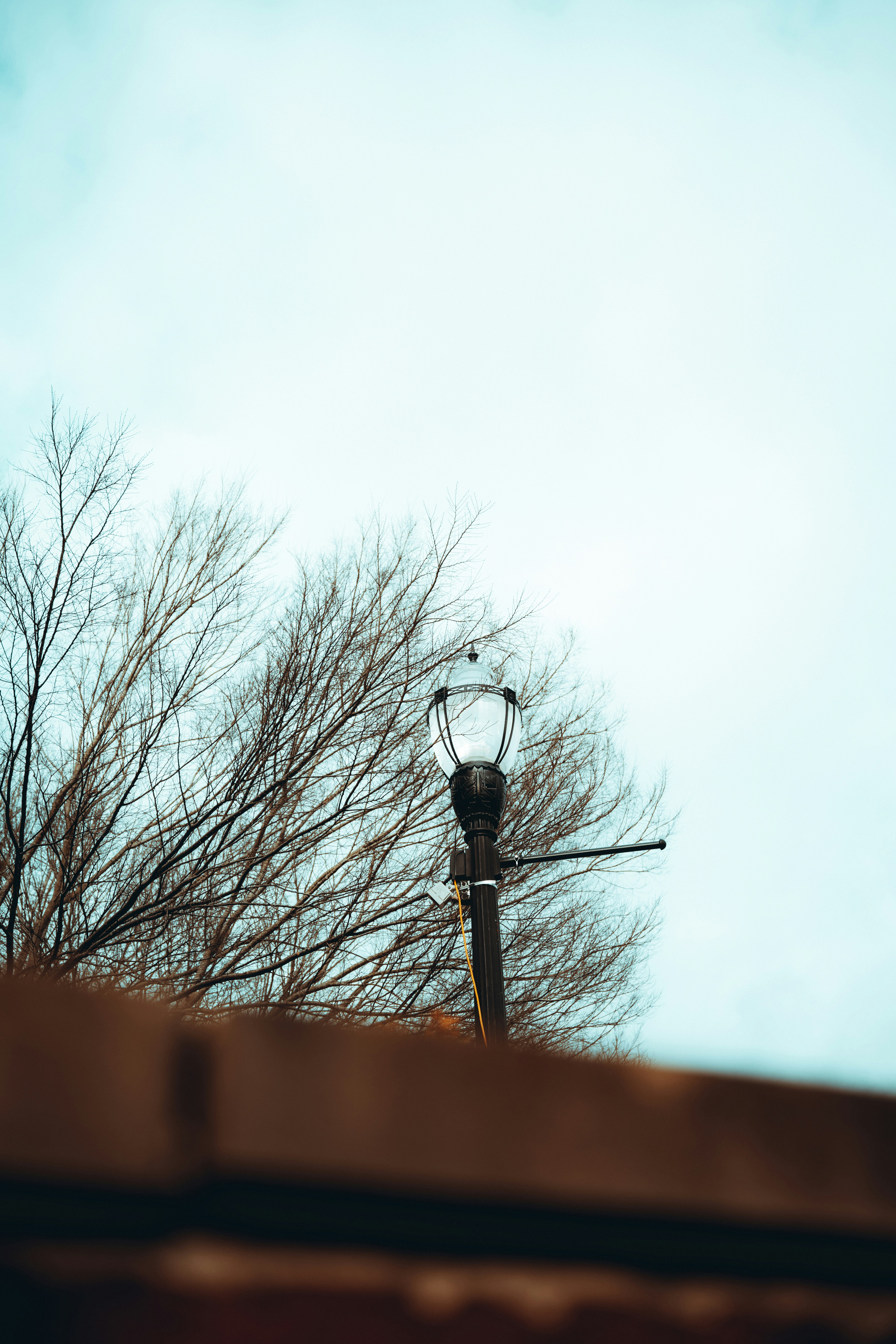 Photo by colemangloverphotography