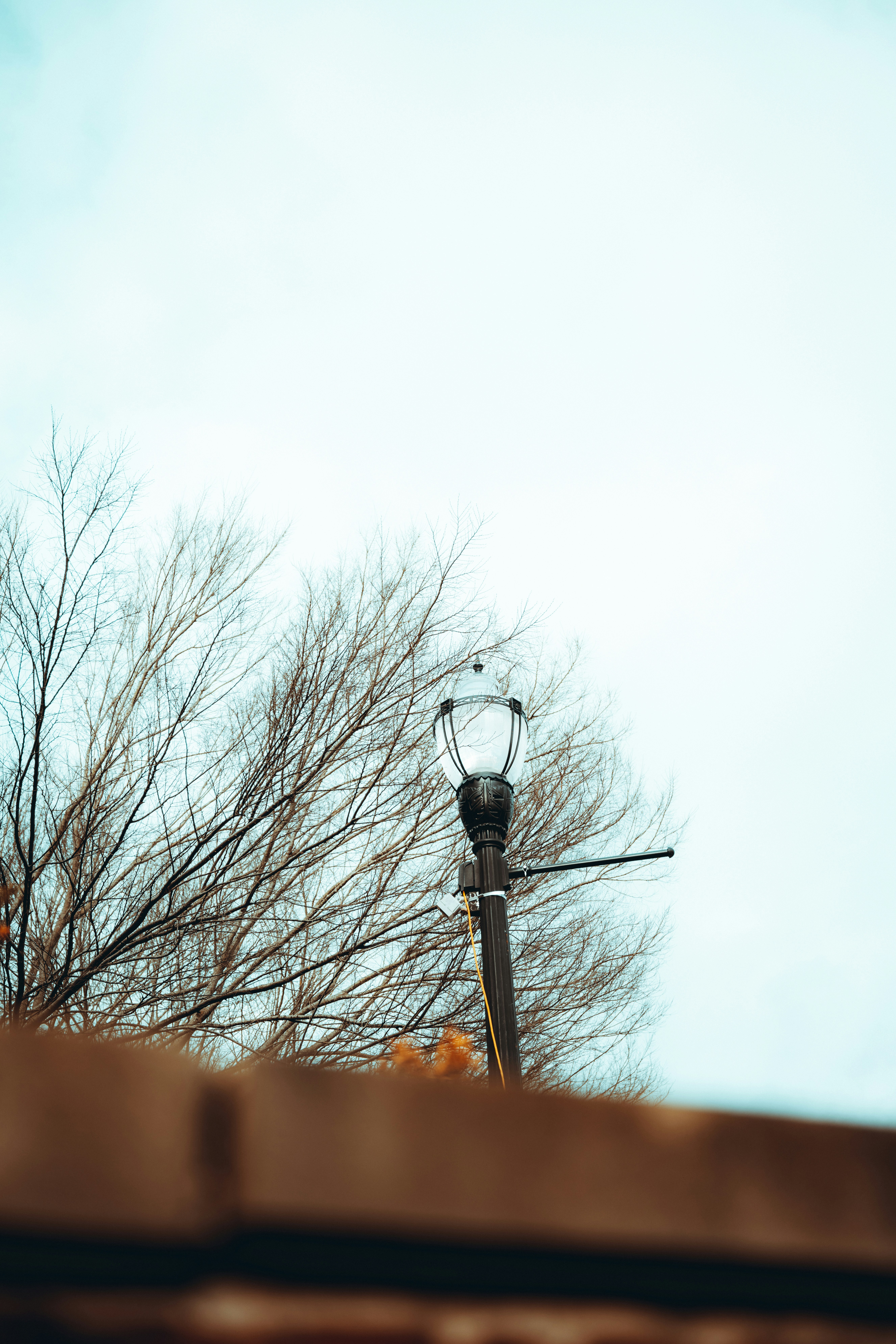 Photo by colemangloverphotography