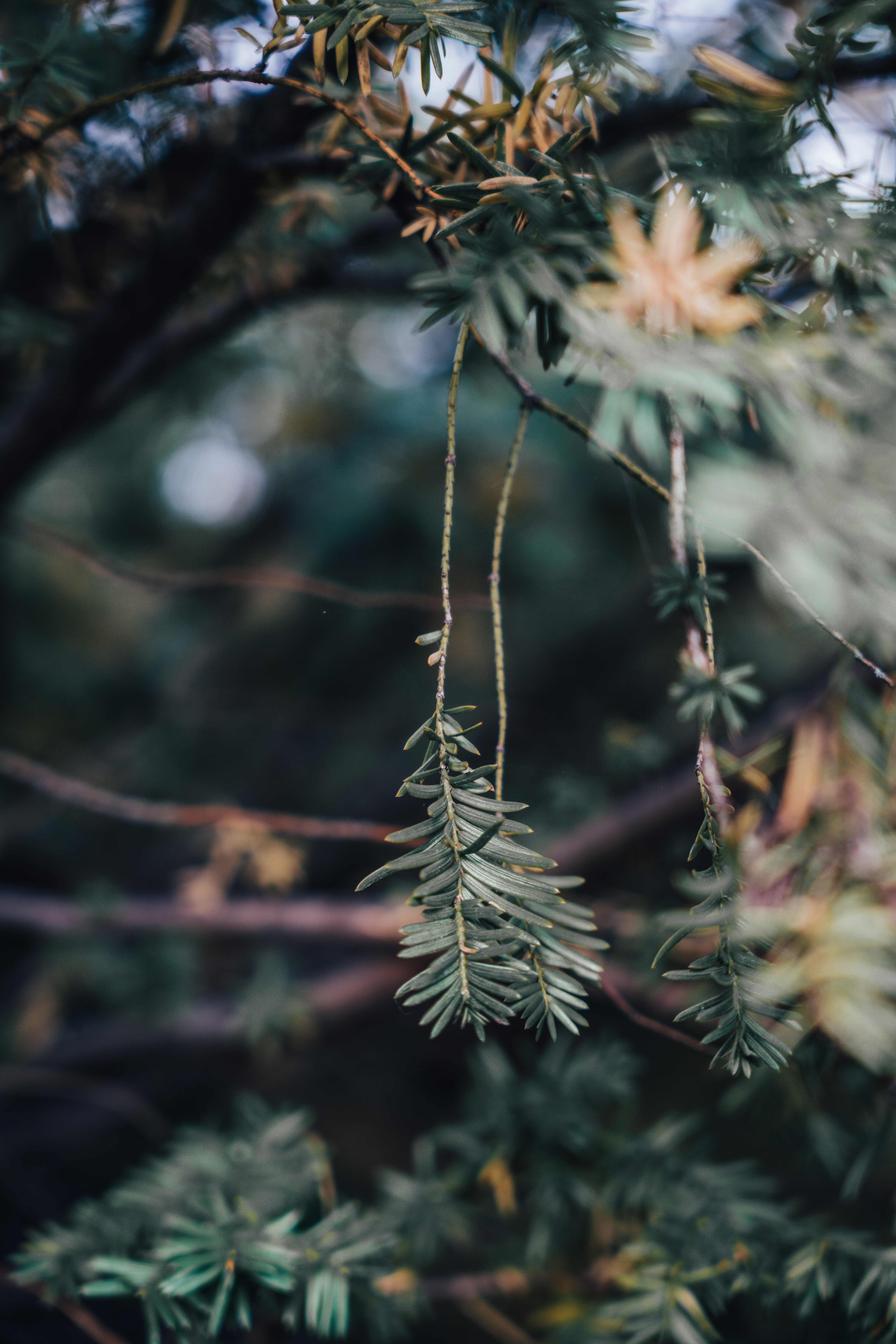 Photo by colemangloverphotography