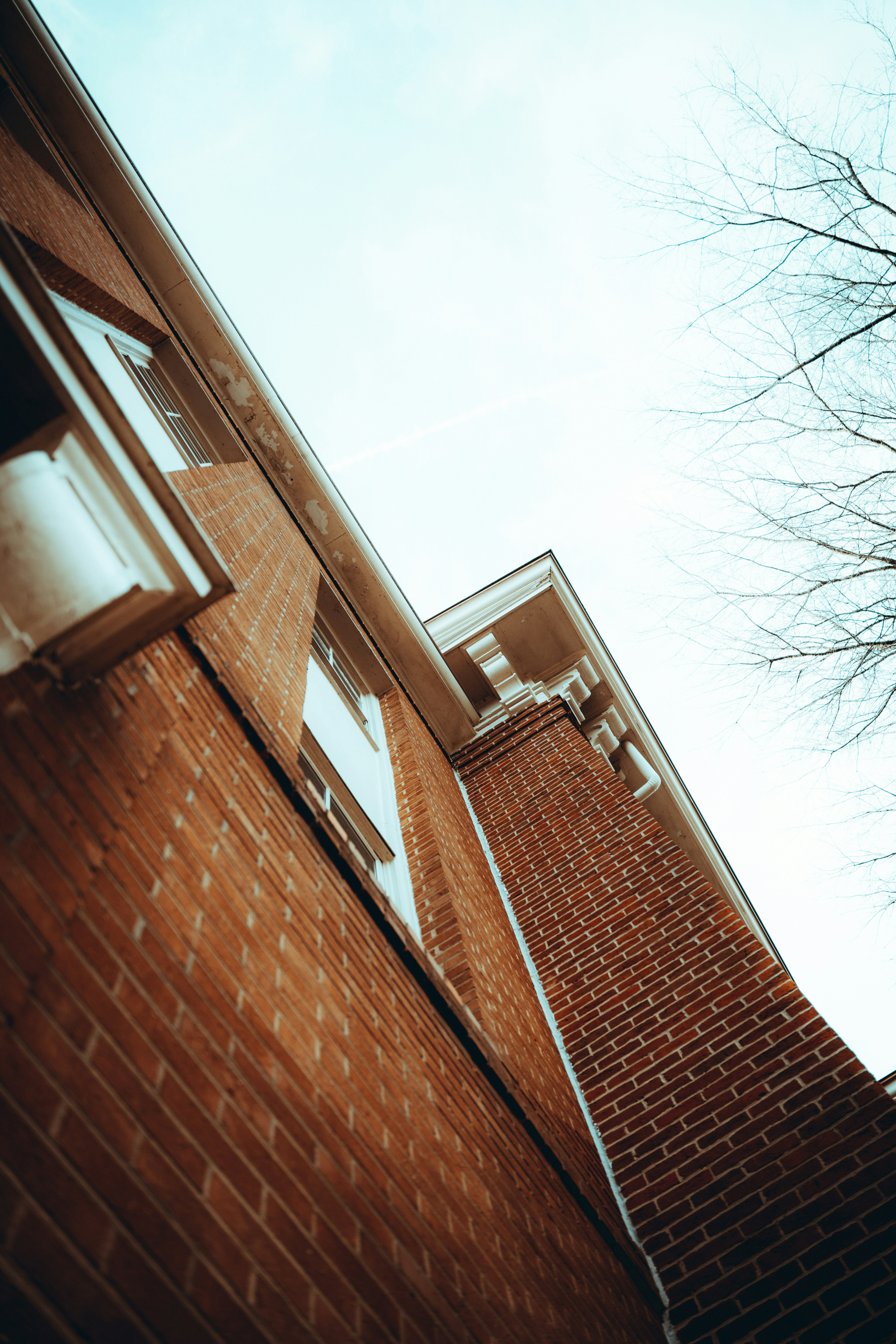 Photo by colemangloverphotography