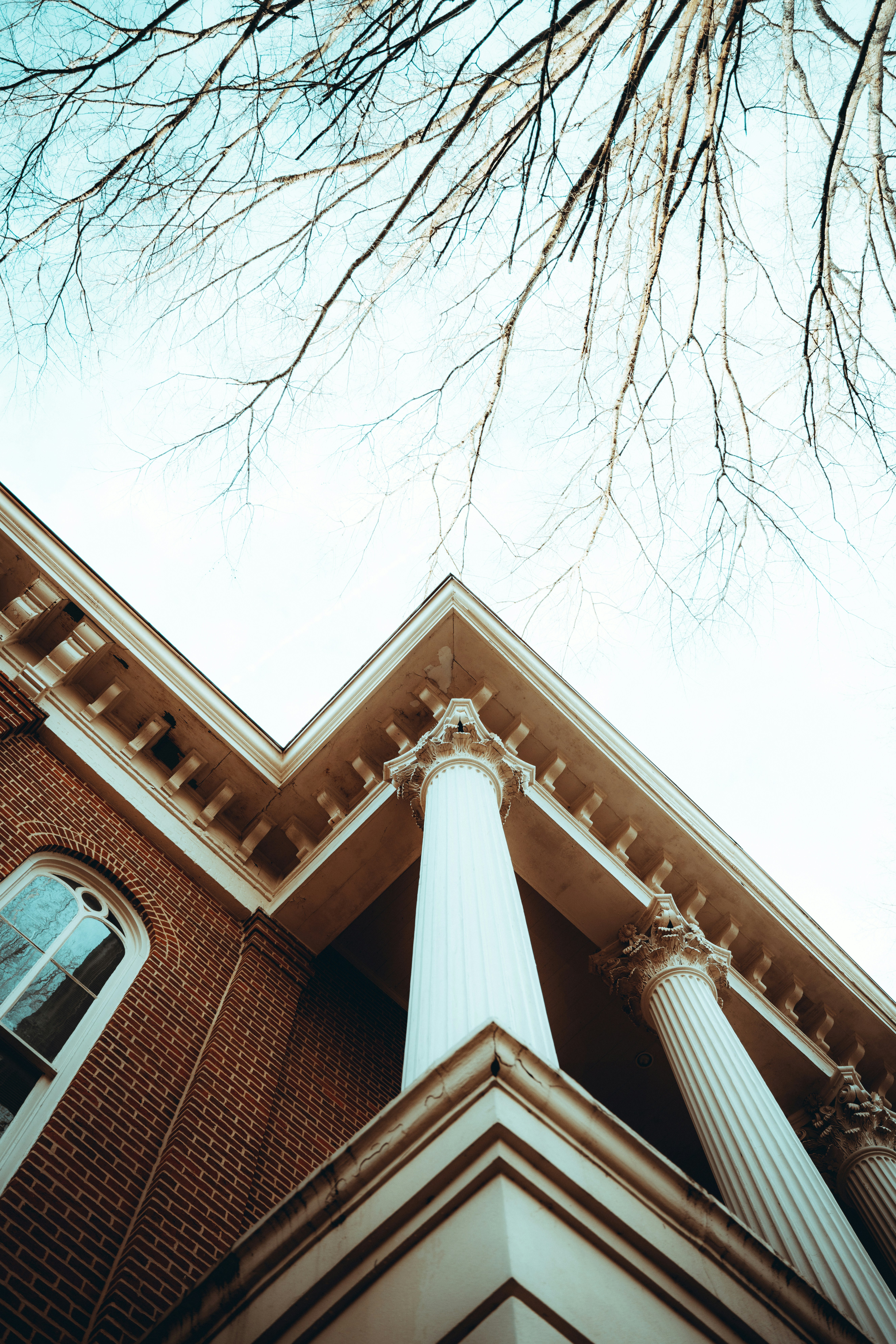 Photo by colemangloverphotography