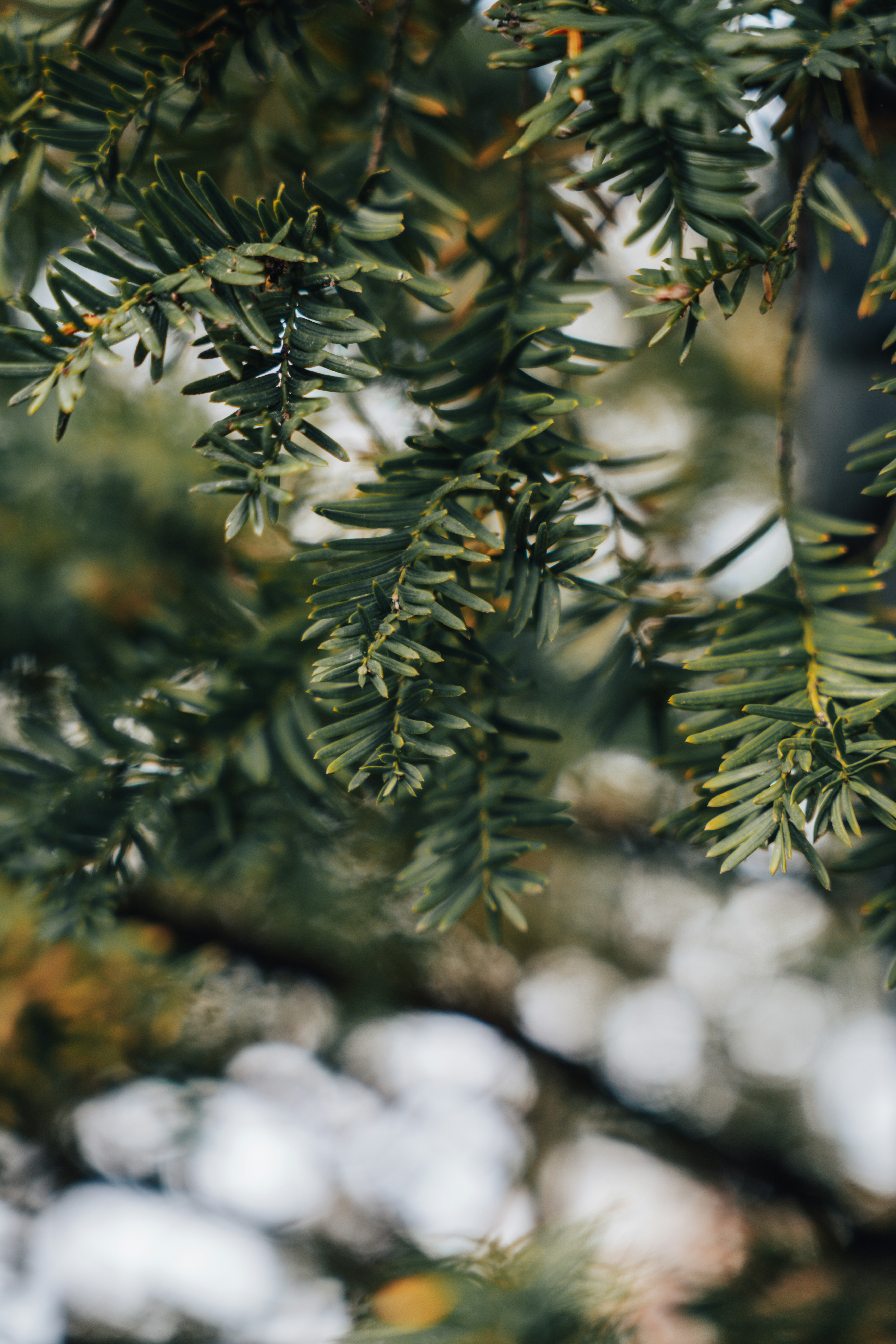 Photo by colemangloverphotography