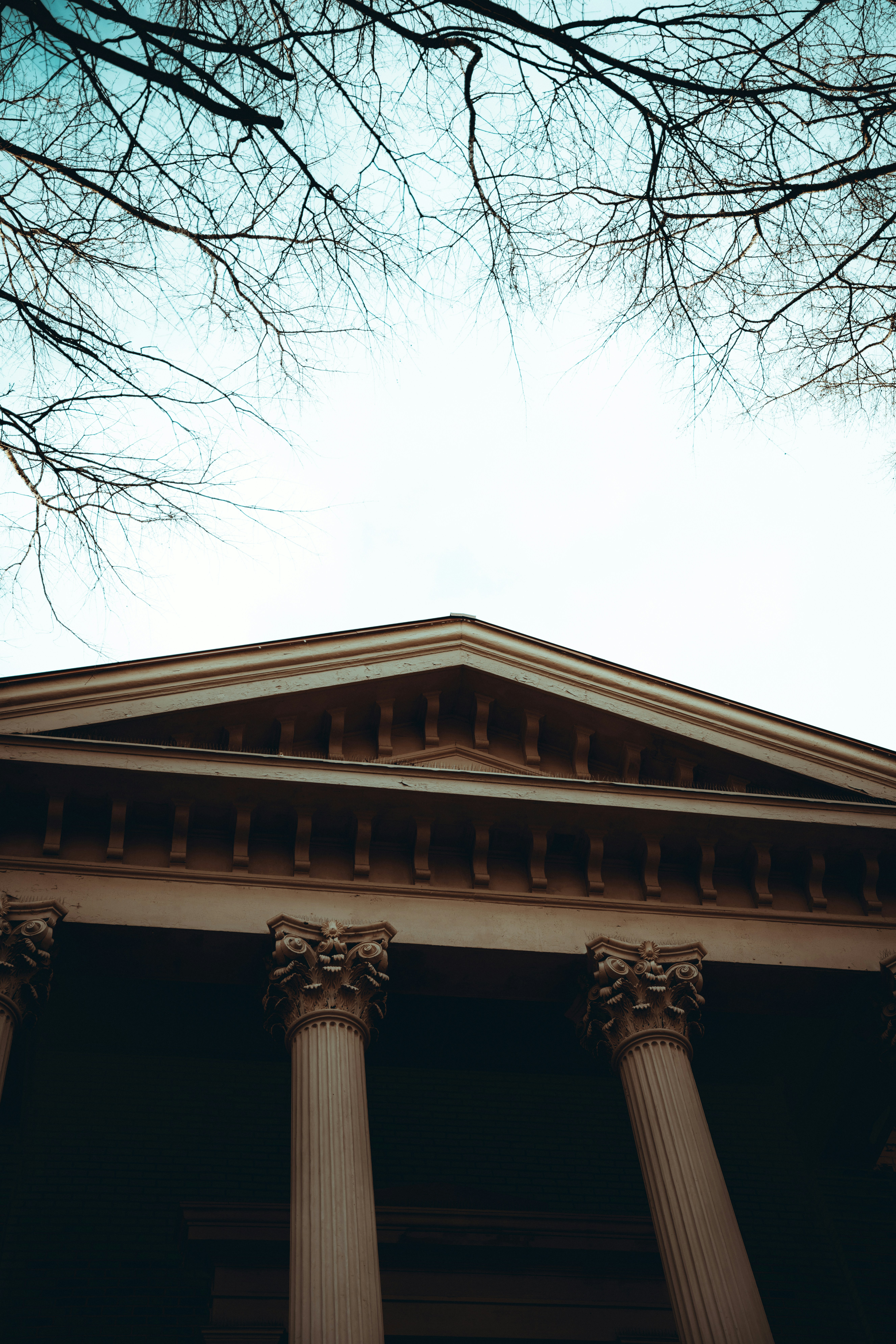 Photo by colemangloverphotography