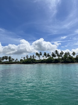 A scenic landscape showcasing a tranquil beach with turquoise waters and palm trees swaying in the breeze.