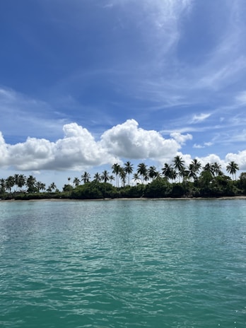 A serene view of the turquoise waters and palm trees of the Maldives.