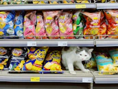 Packaging of Calabaza Pets cat litter displayed on a shelf.