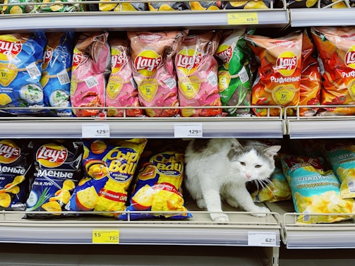 A white and gray cat is nestled among bags of snacks on a supermarket shelf. The shelves are filled with various flavors of Lay's and other chip brands, displayed in colorful packaging. Price tags are visible beneath the items.