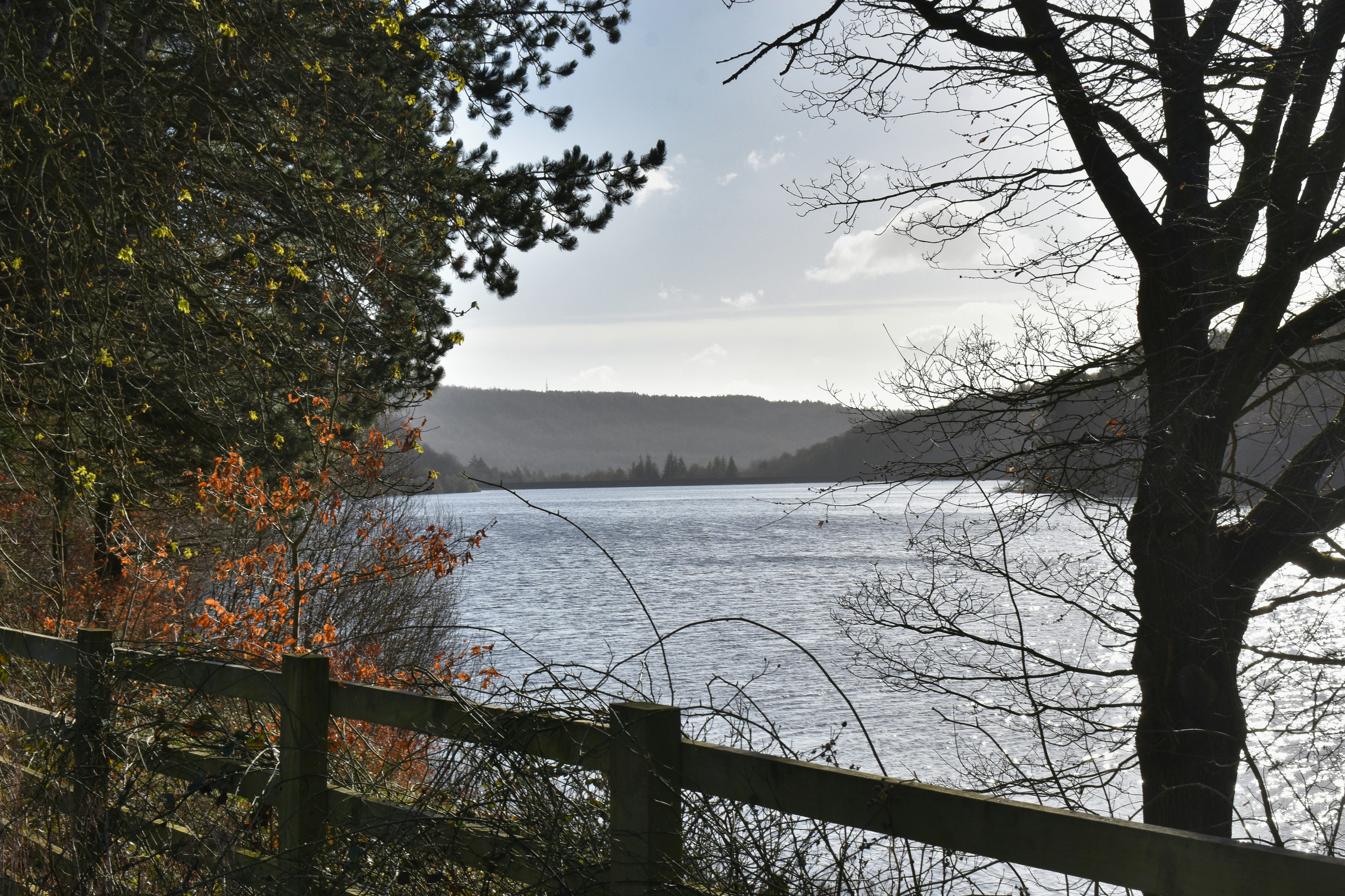 Photo by andrew_hall