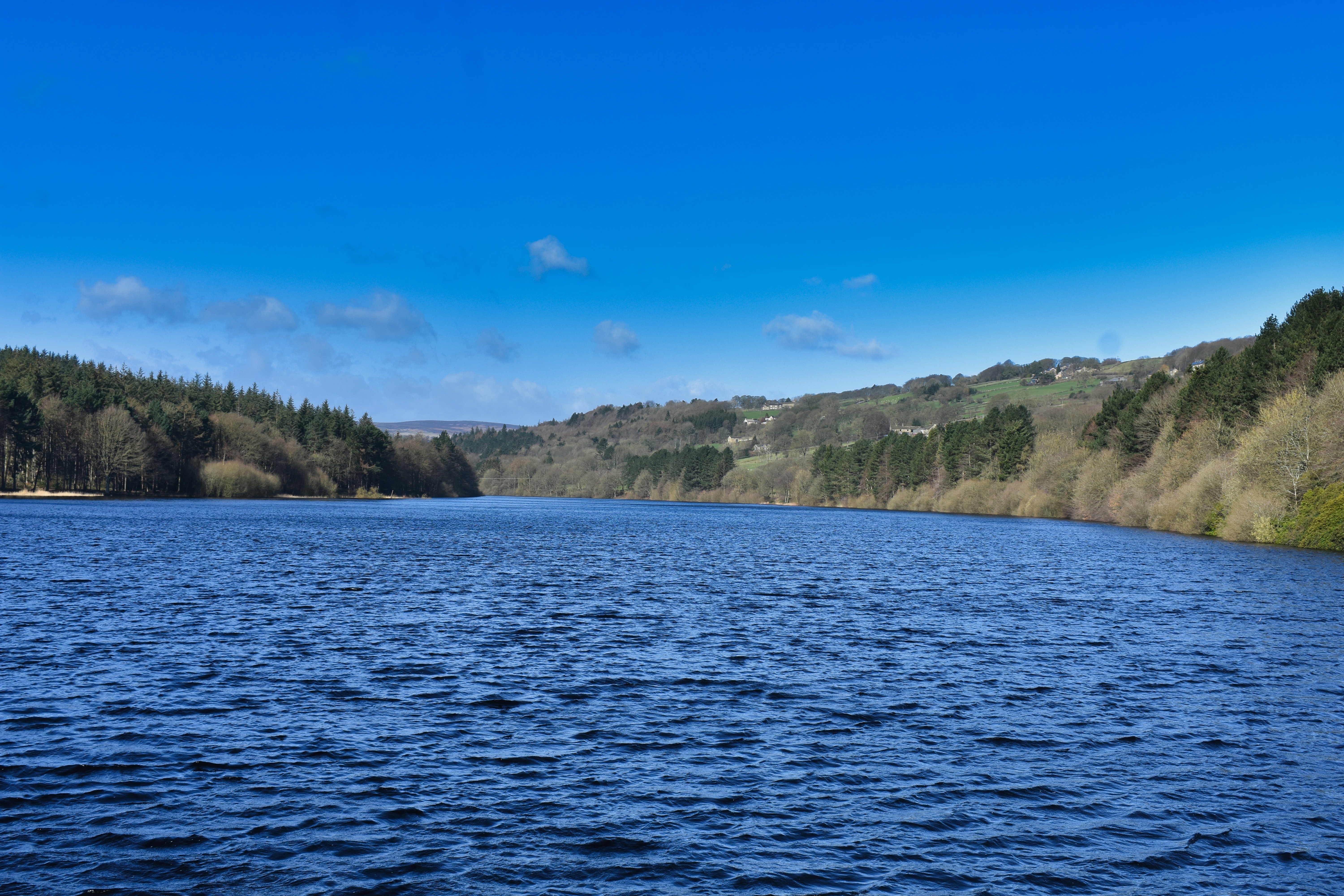 Photo by andrew_hall