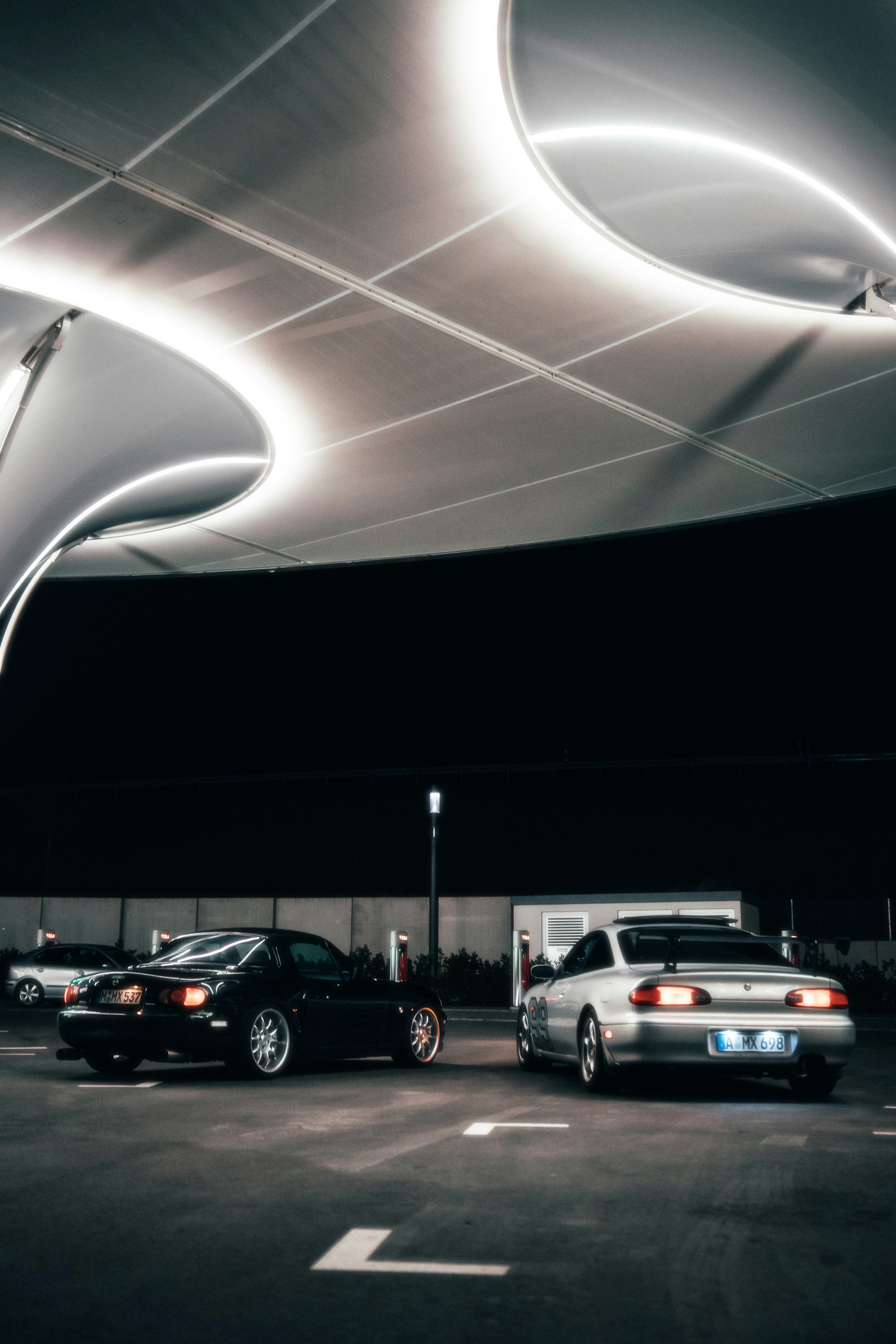 Photo by solbrigkevin