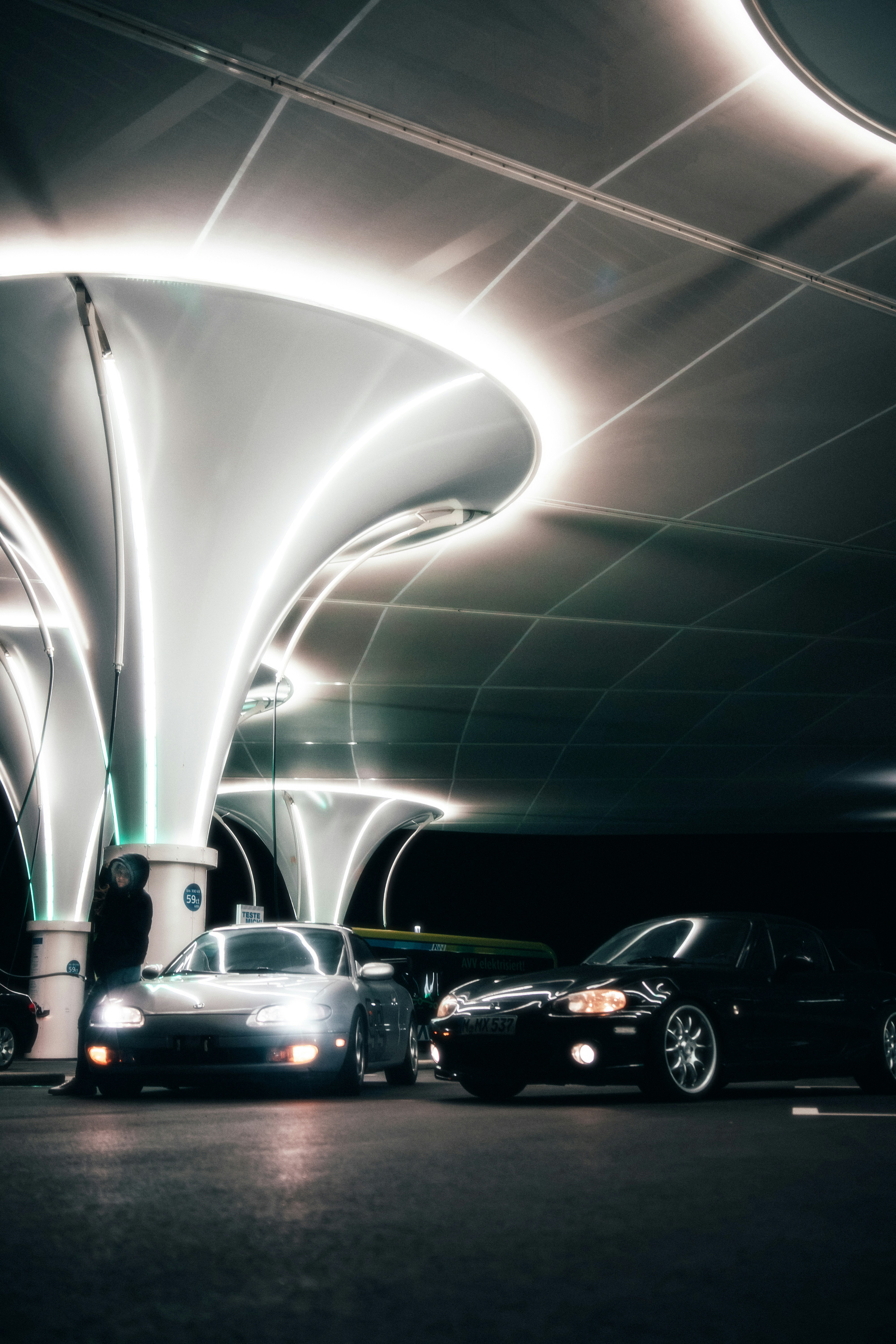 Photo by solbrigkevin