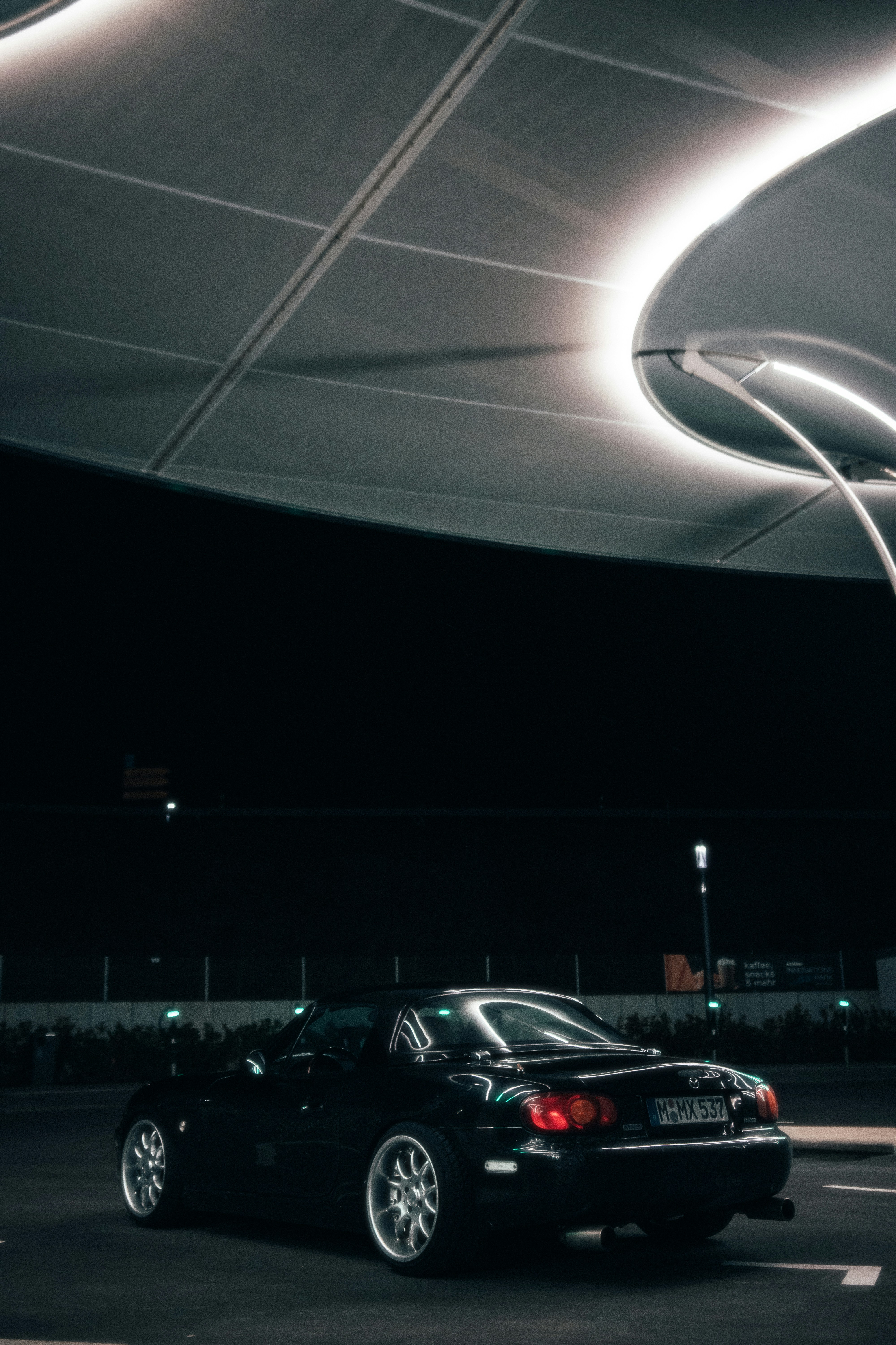 Photo by solbrigkevin