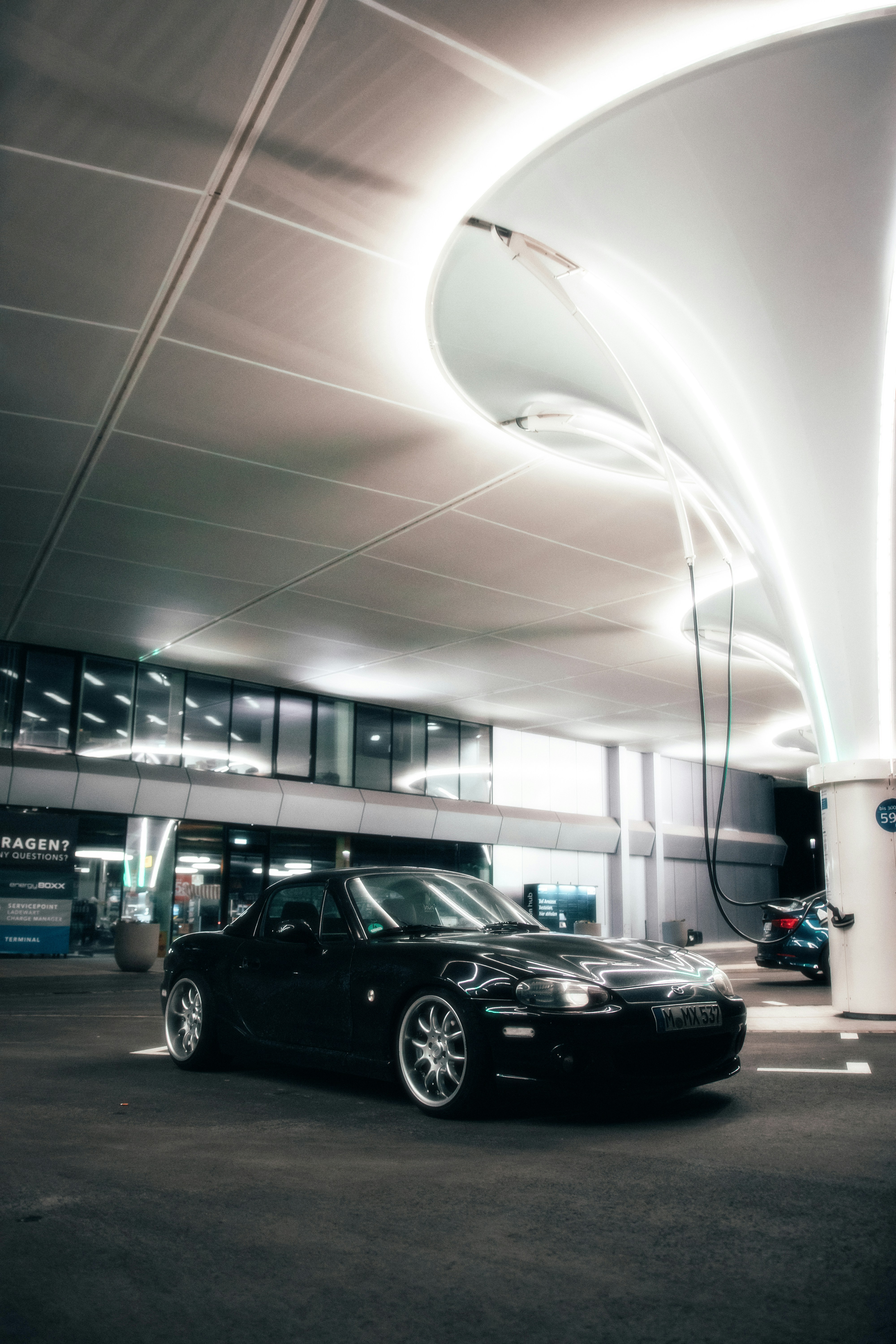 Photo by solbrigkevin