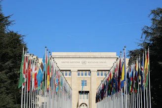 a building with a lot of flags in front of it