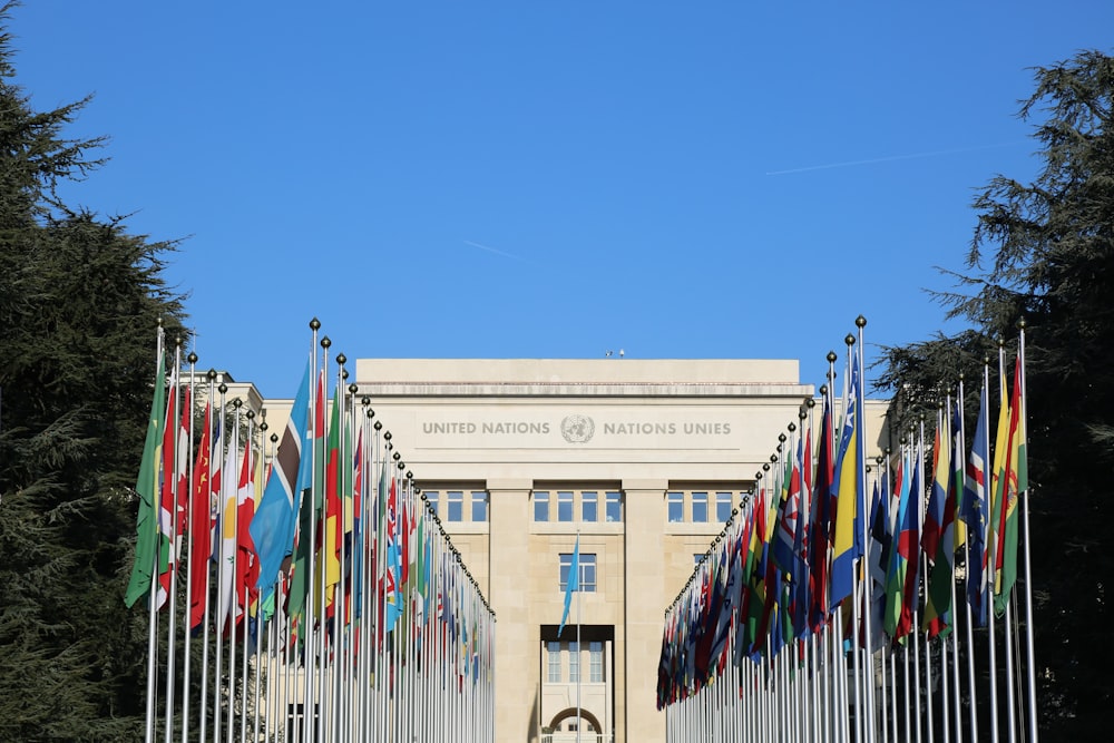 Un bâtiment avec beaucoup de drapeaux devant lui